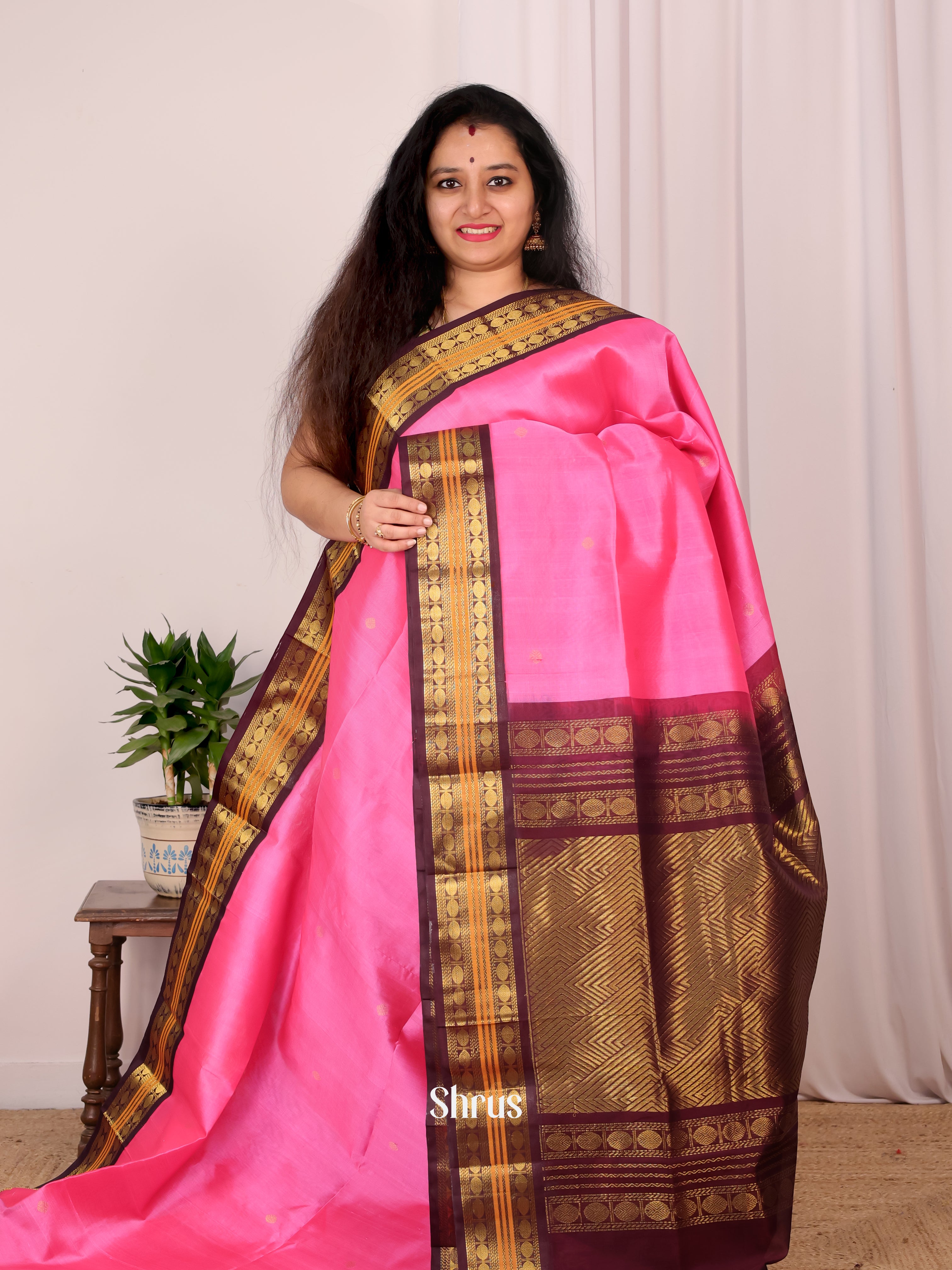 CKS19089- Silk Cotton Saree