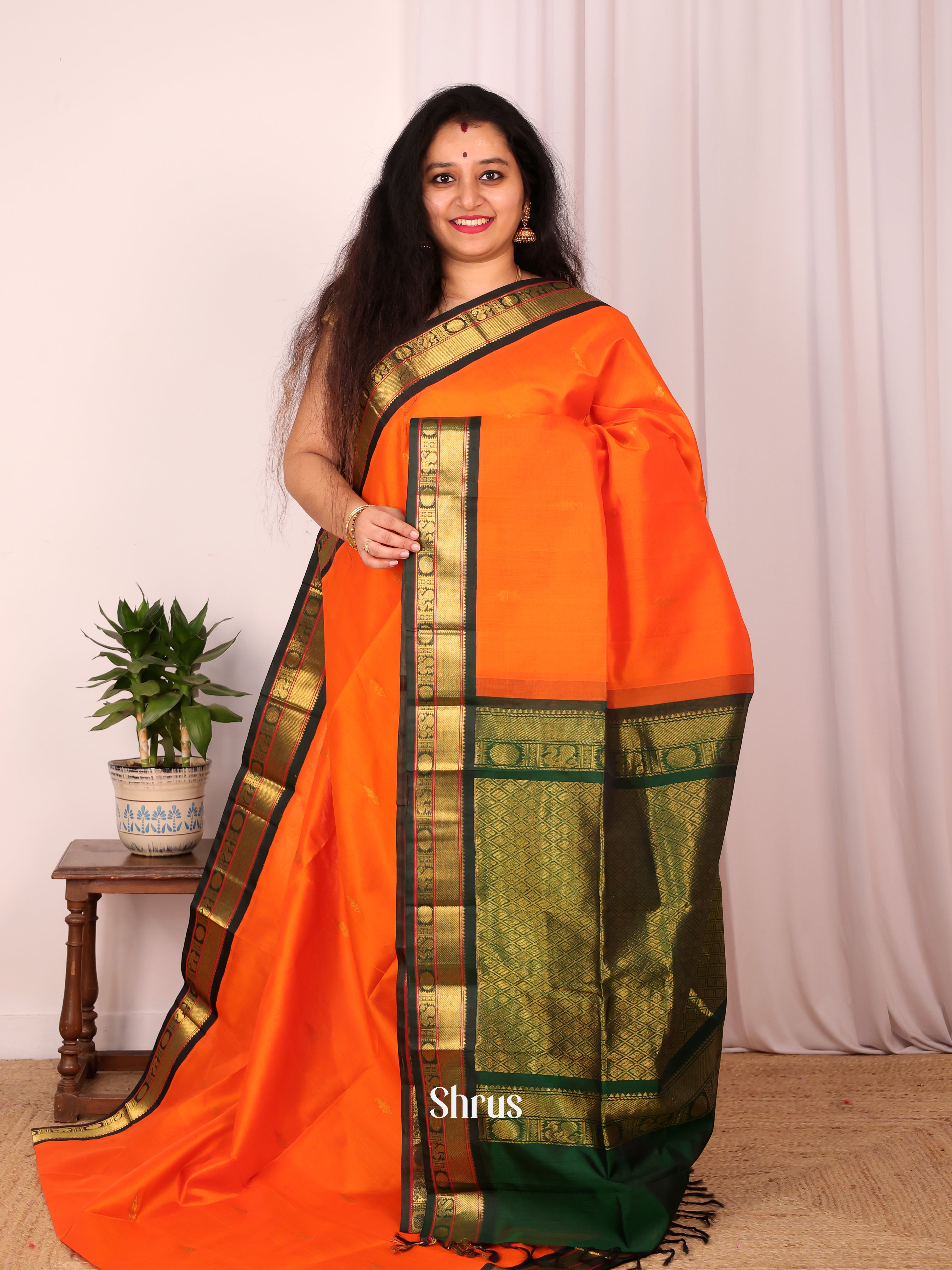 CKS19098 - Silk Cotton Saree