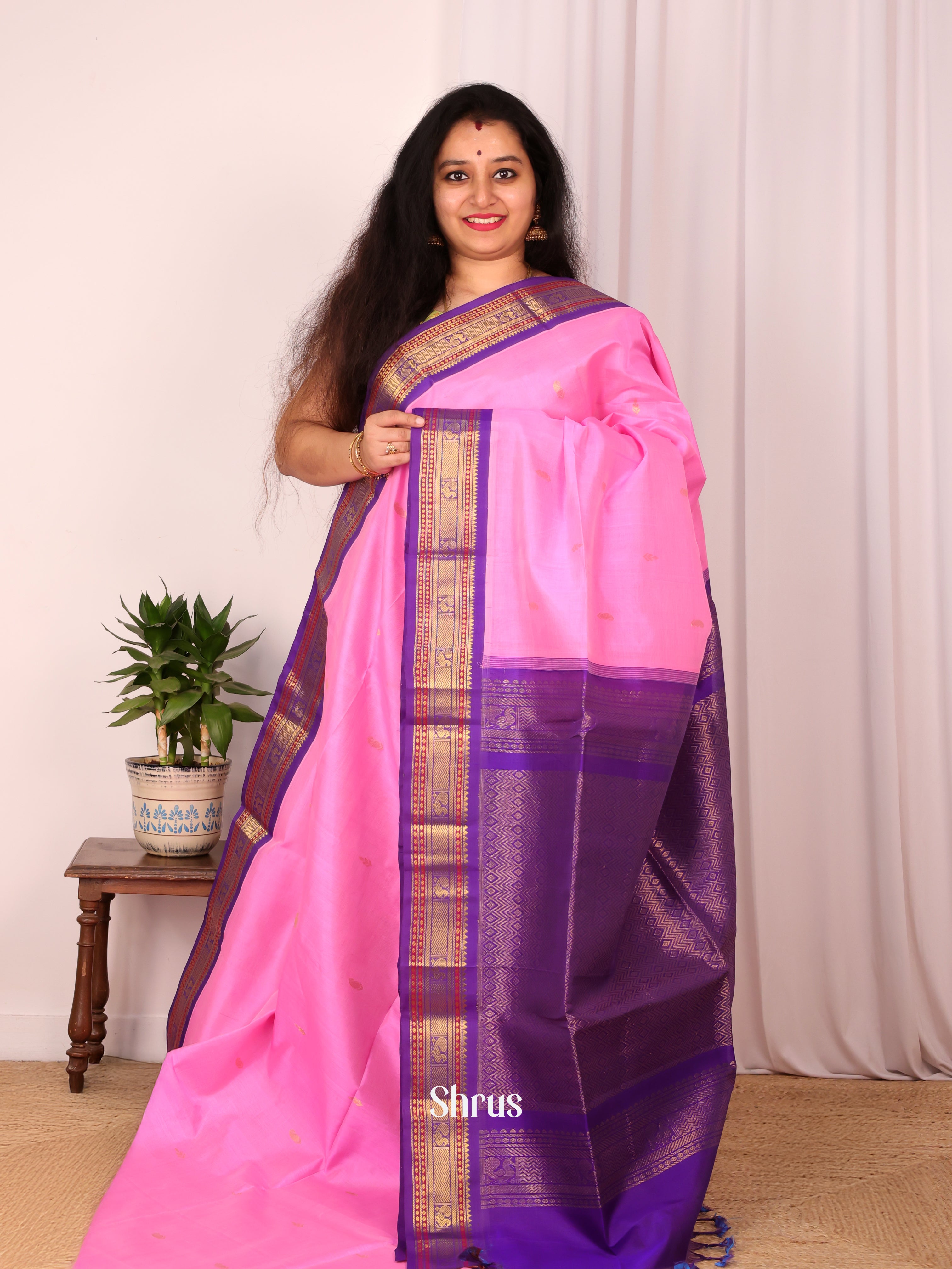 CKS19099 - Silk Cotton Saree