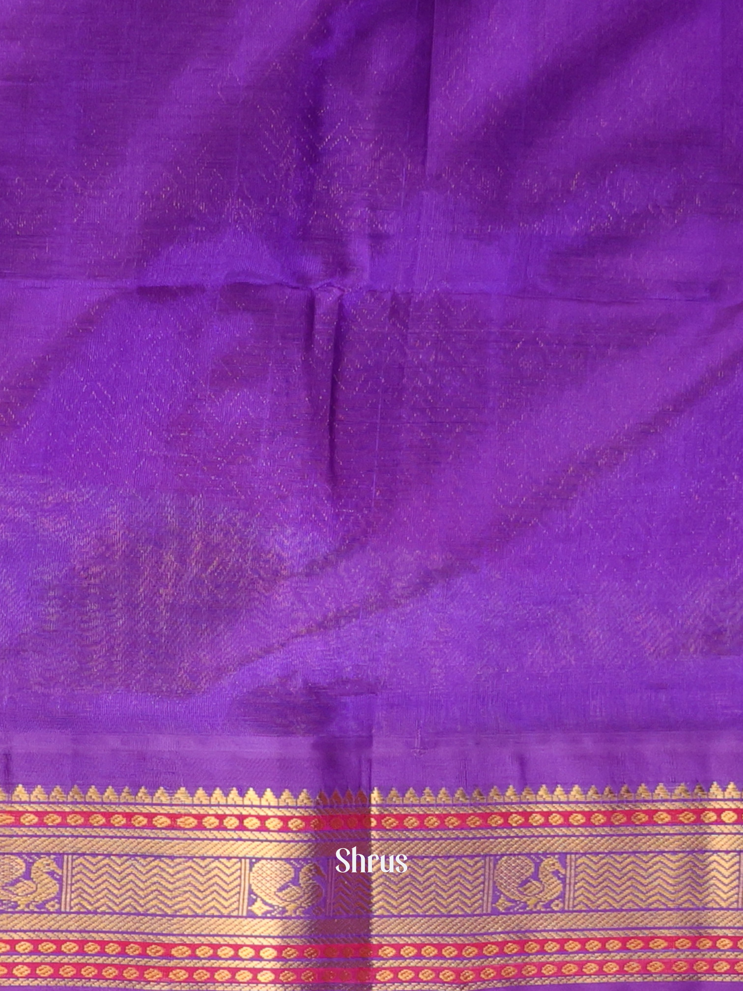 CKS19099 - Silk Cotton Saree