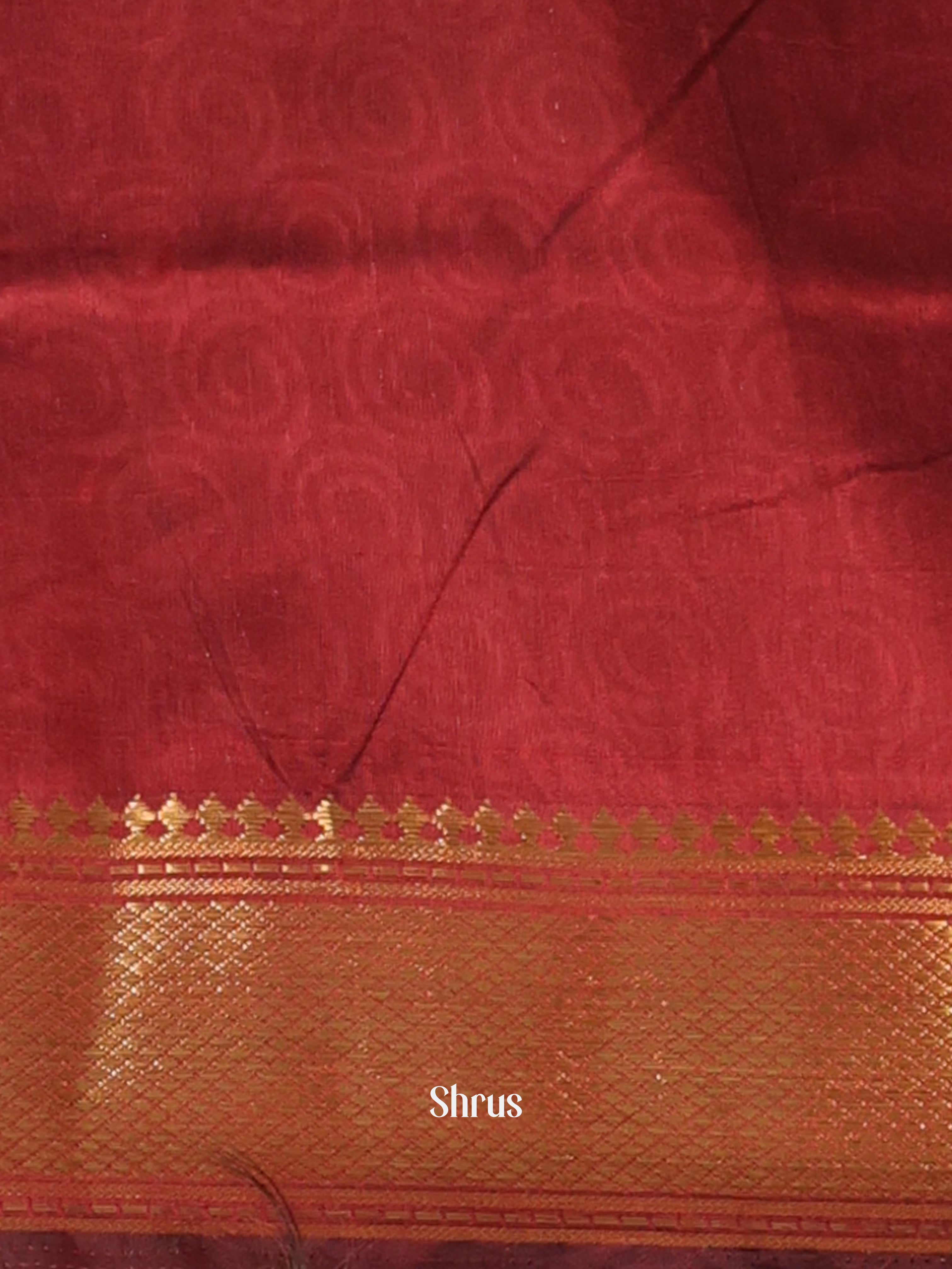 Black & Brown - Semi Patola Saree