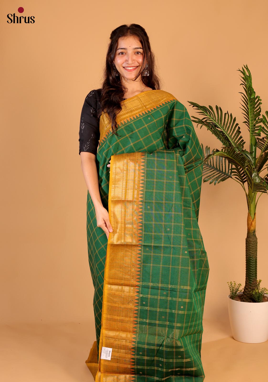 Green & Mustard - Chettinad Cotton Saree