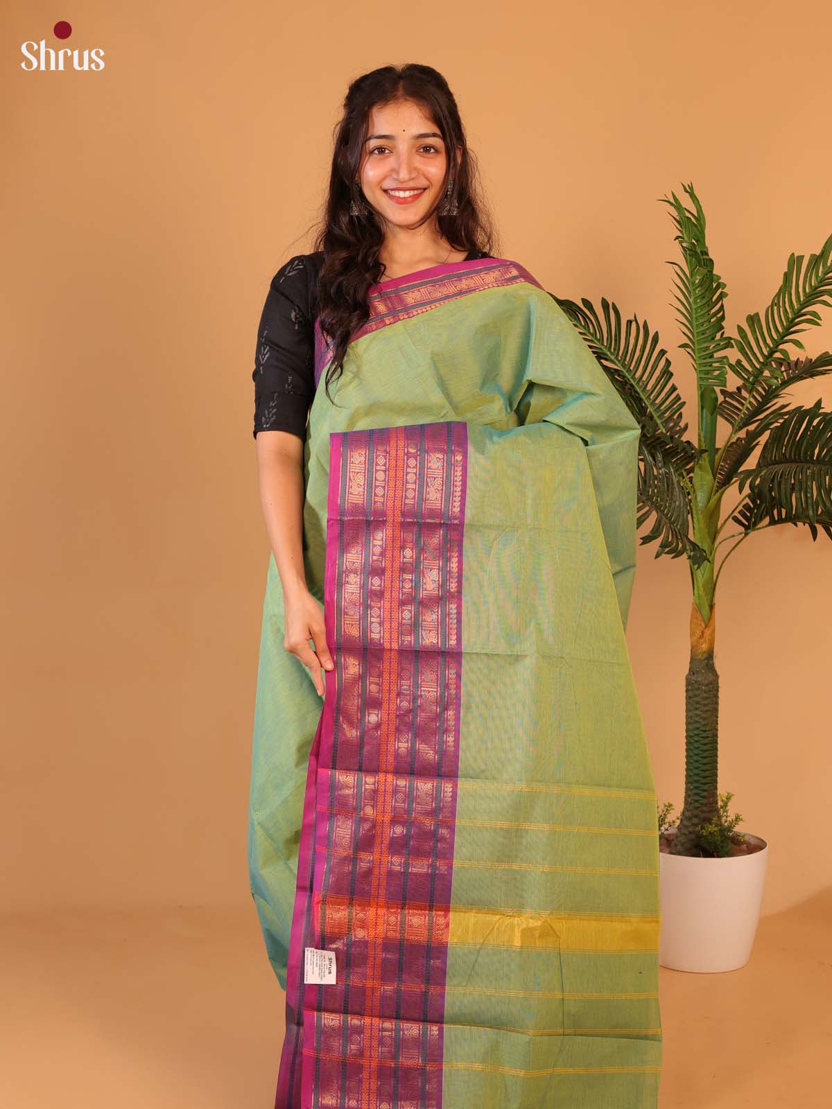 Green & Purple - Chettinad Cotton Saree