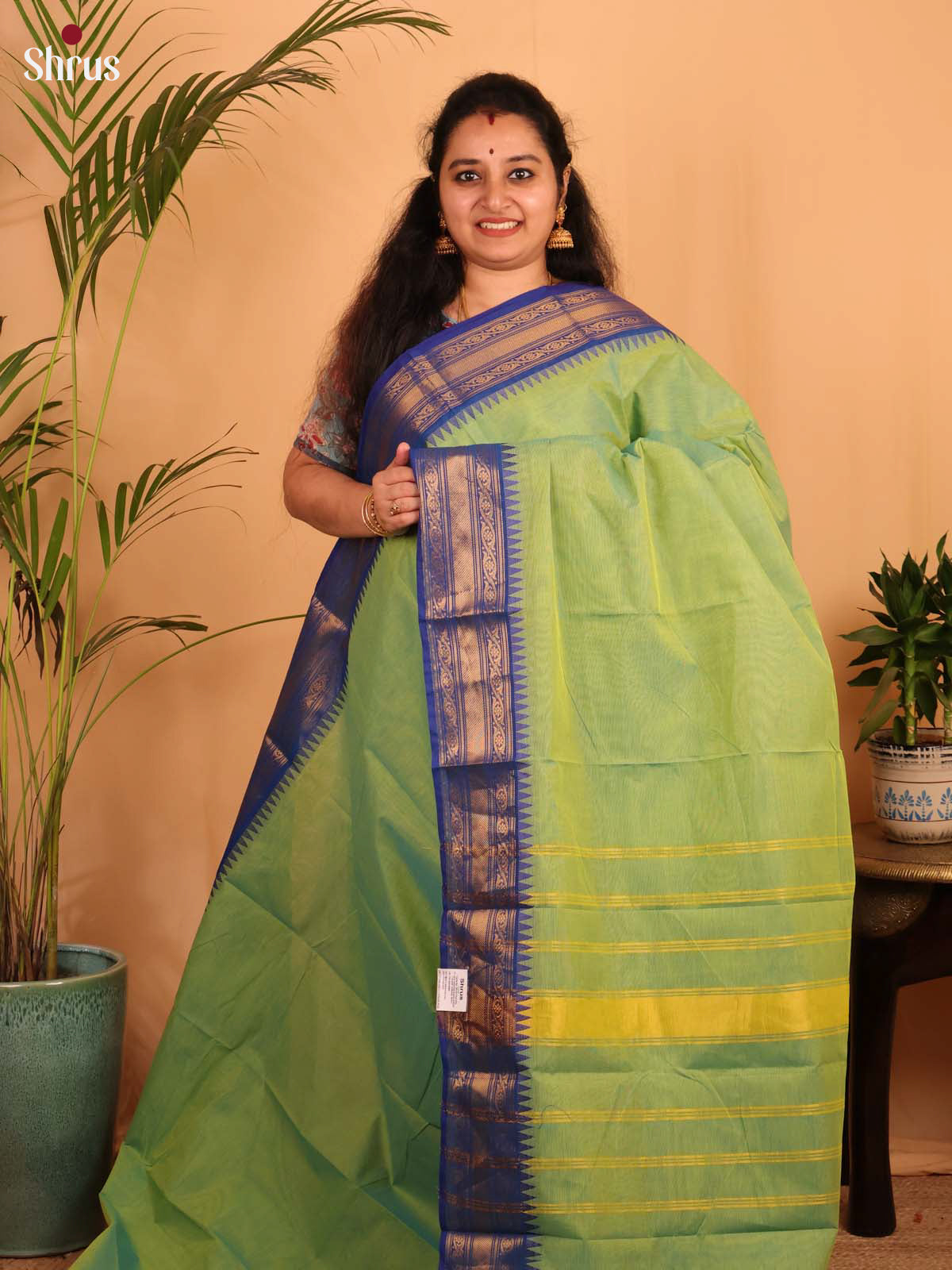 Green & Blue - Chettinad Cotton Saree