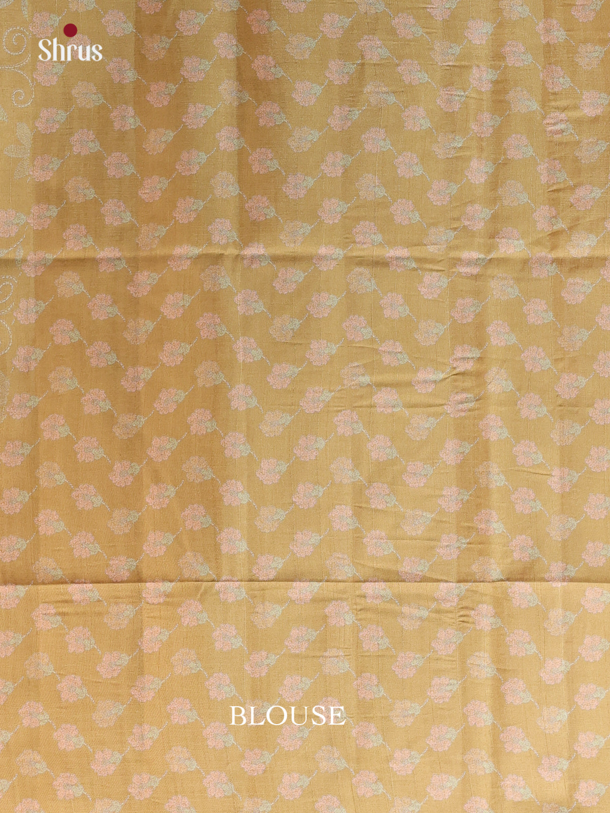 Beige- Printed Tussar Saree