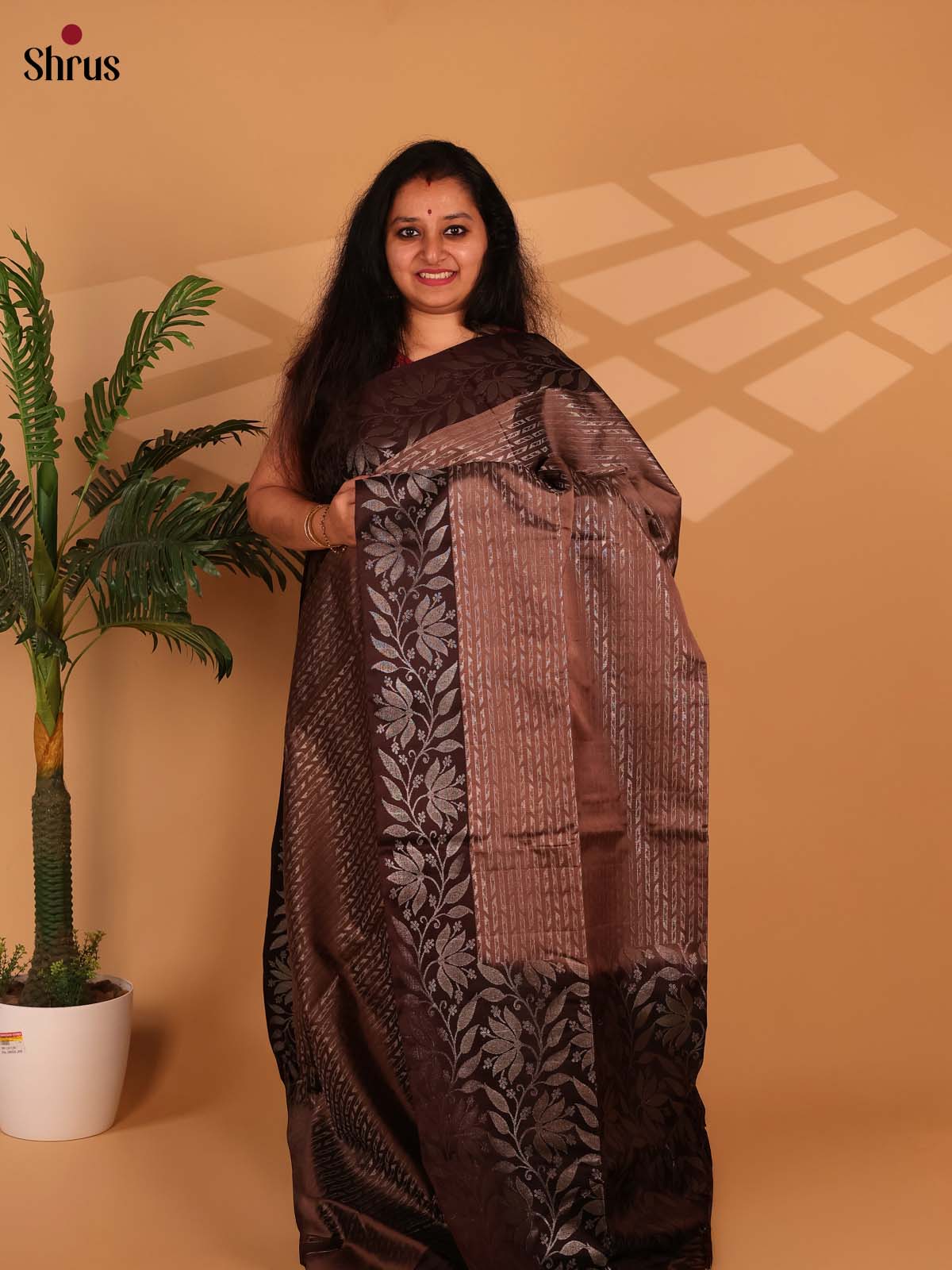 Lite Brown & Brown - Soft Silk Saree