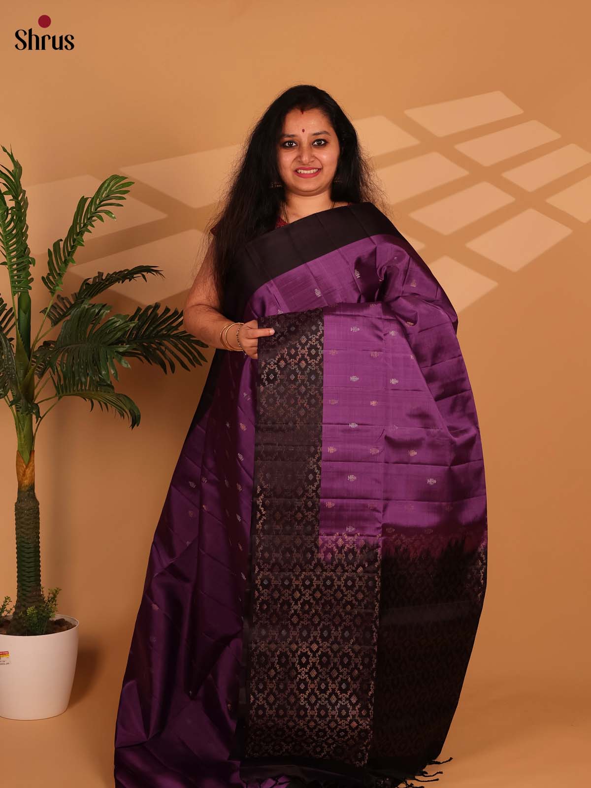 Purple & Brown - Soft Silk Saree