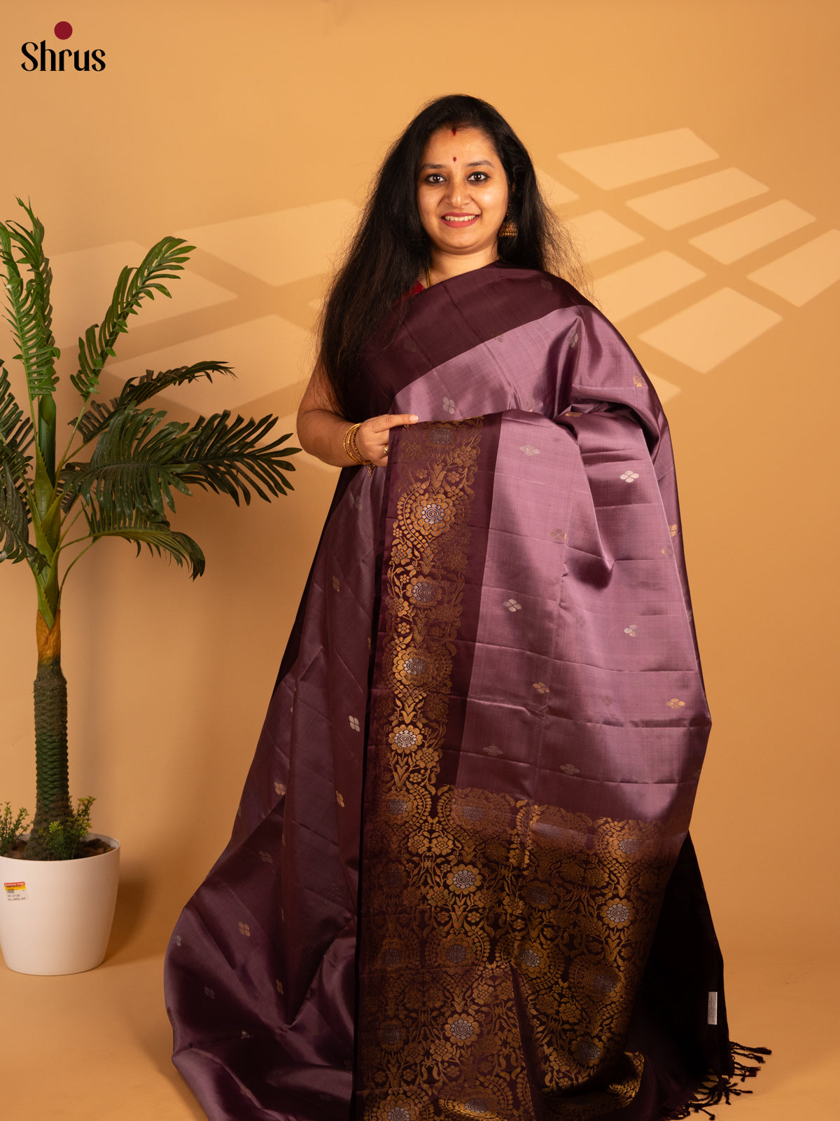 Purple & Brown - Soft Silk Saree