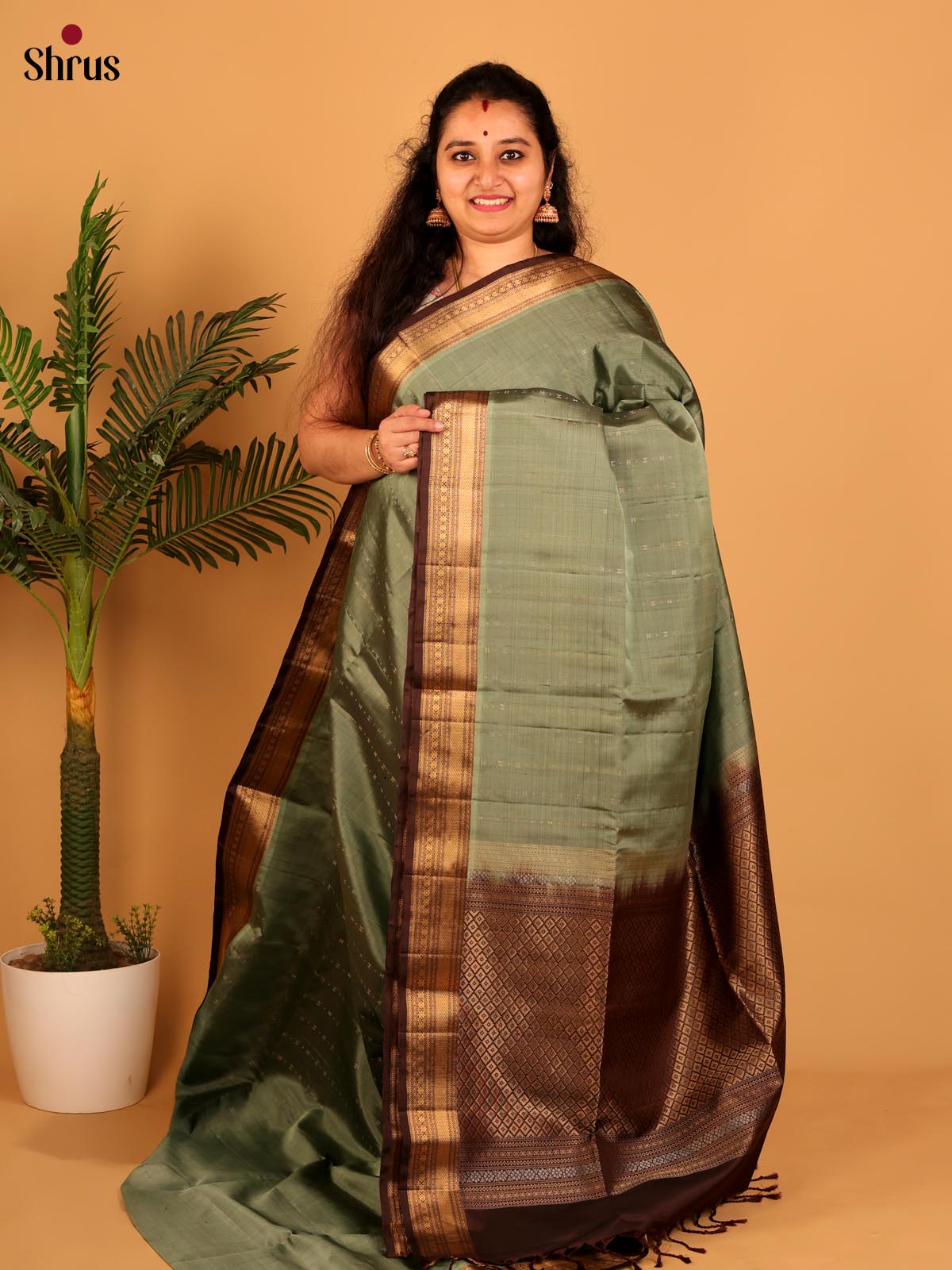 Green & Brown- Soft Silk Saree