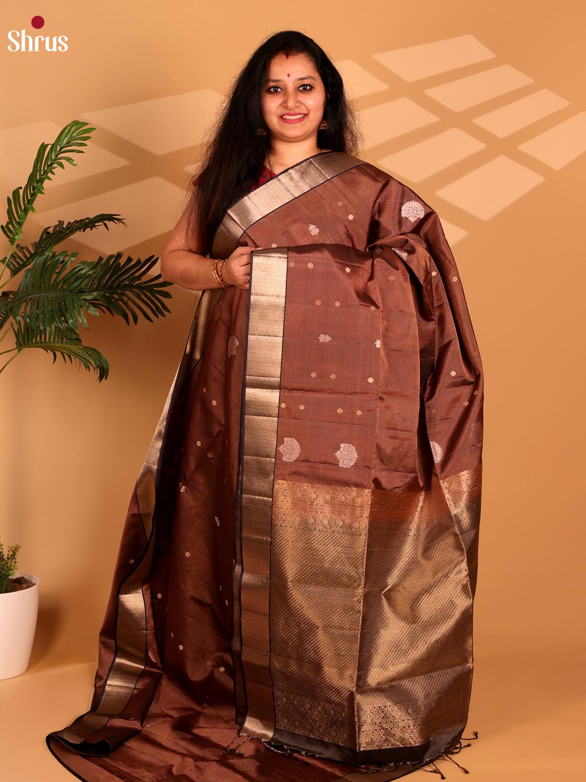 Brown - Soft Silk Saree