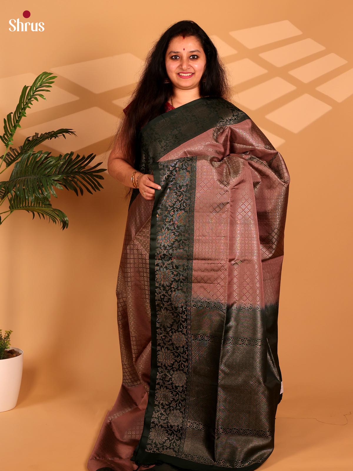 Dusty Brown & Green - Soft Silk Saree