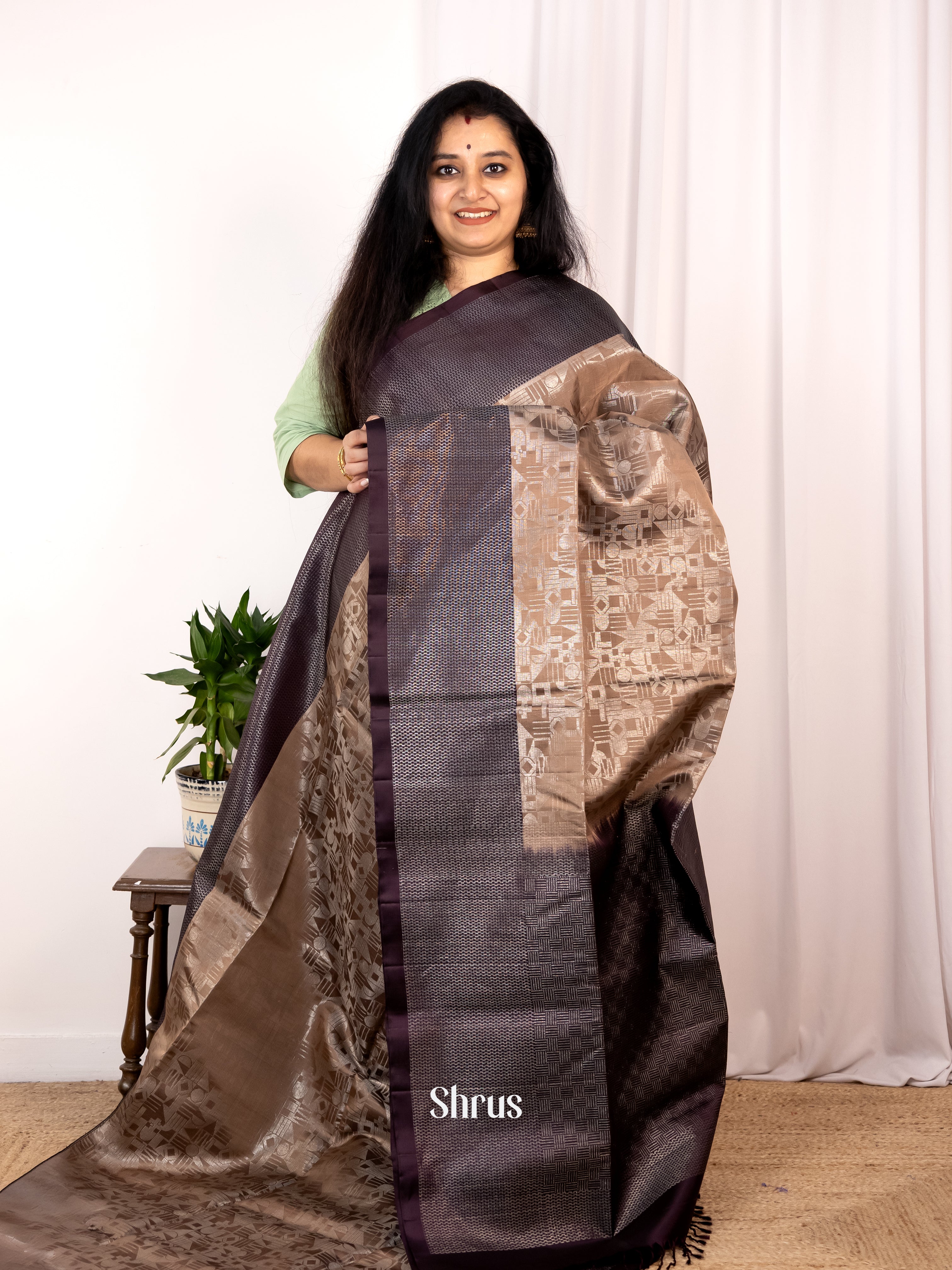 Chocolate Brown & Brown - Soft Silk Saree