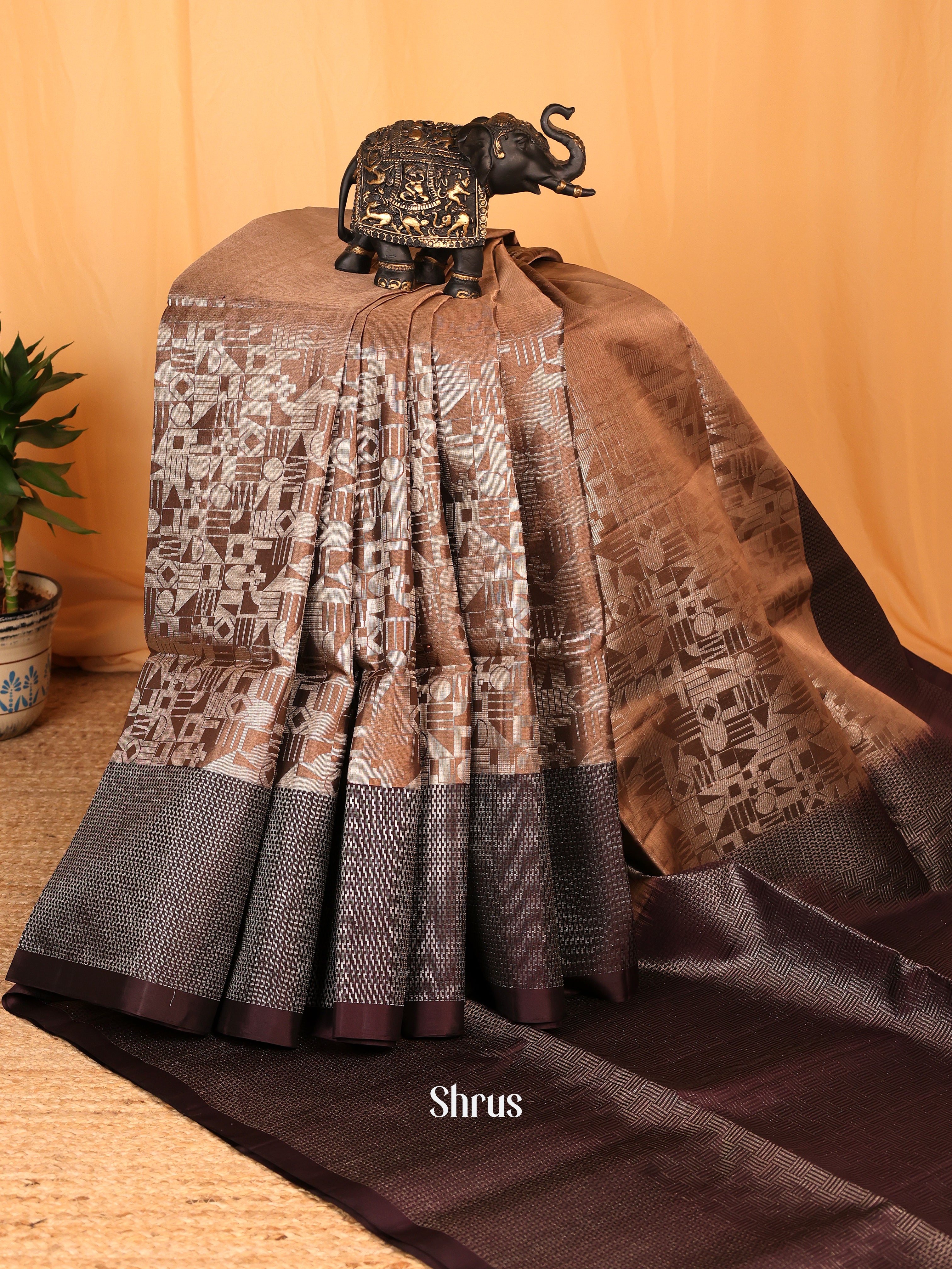 Chocolate Brown & Brown - Soft Silk Saree