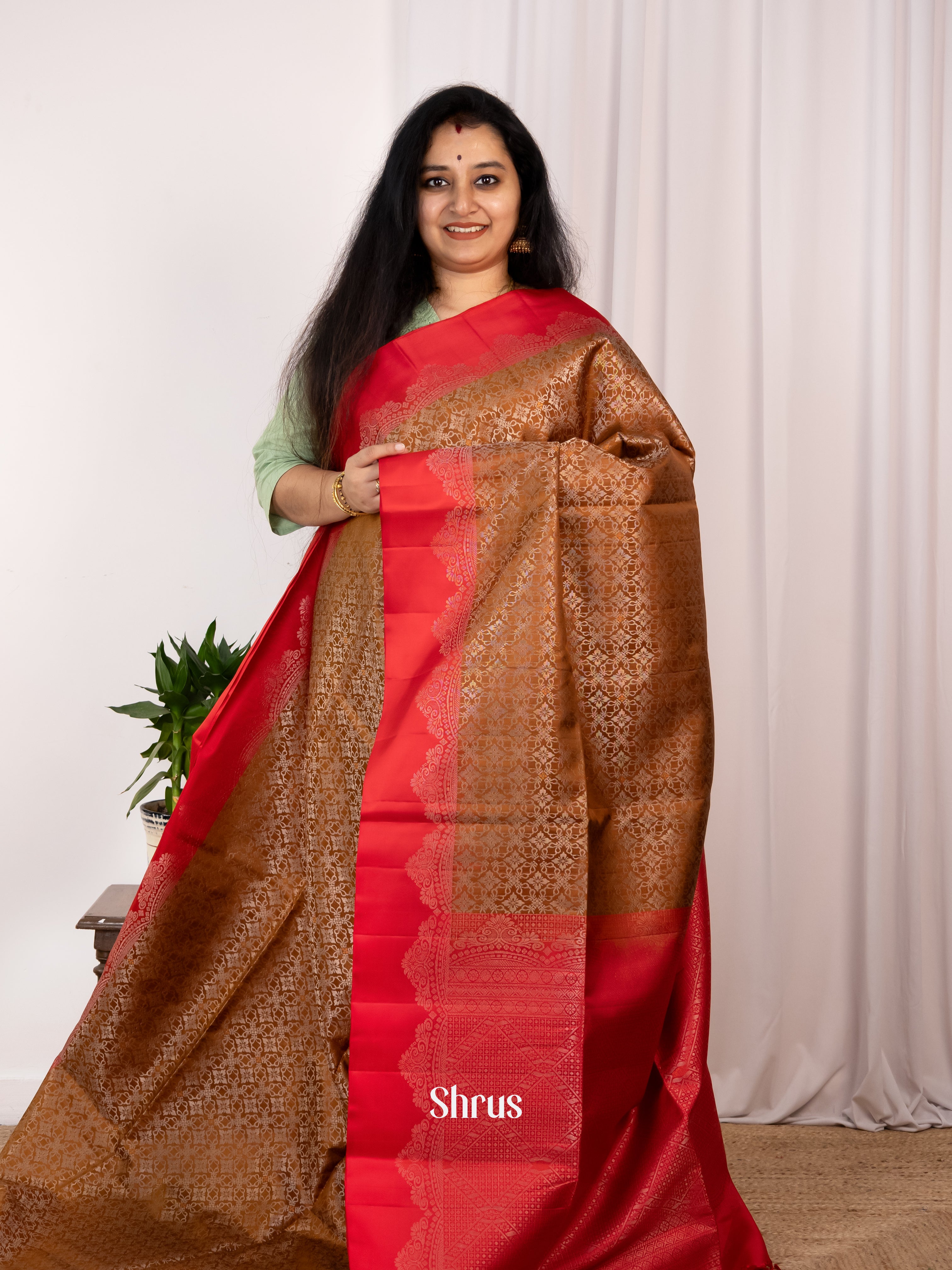 Brown & Red - Soft Silk Saree