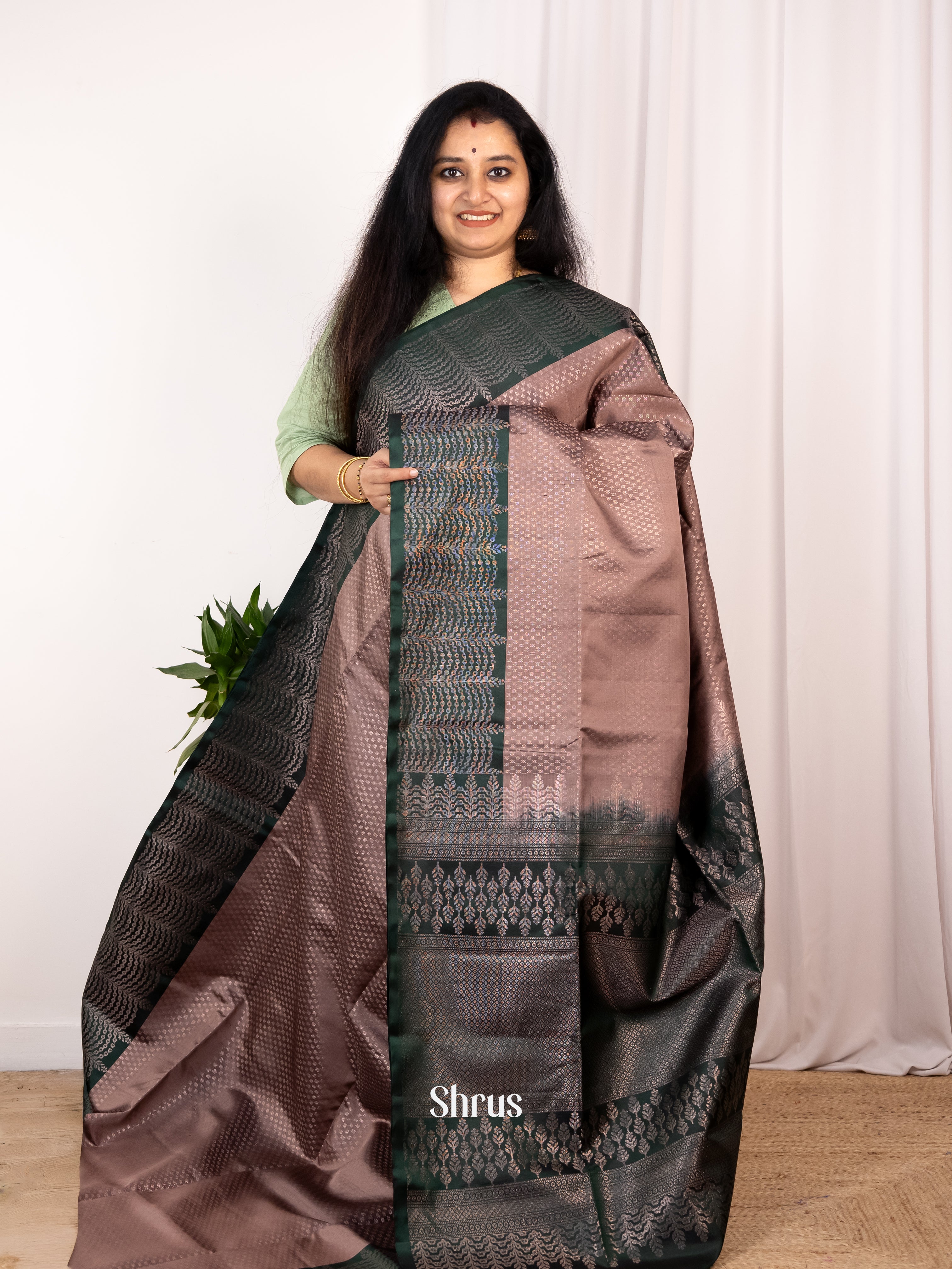 Brown & Green - Soft Silk Saree