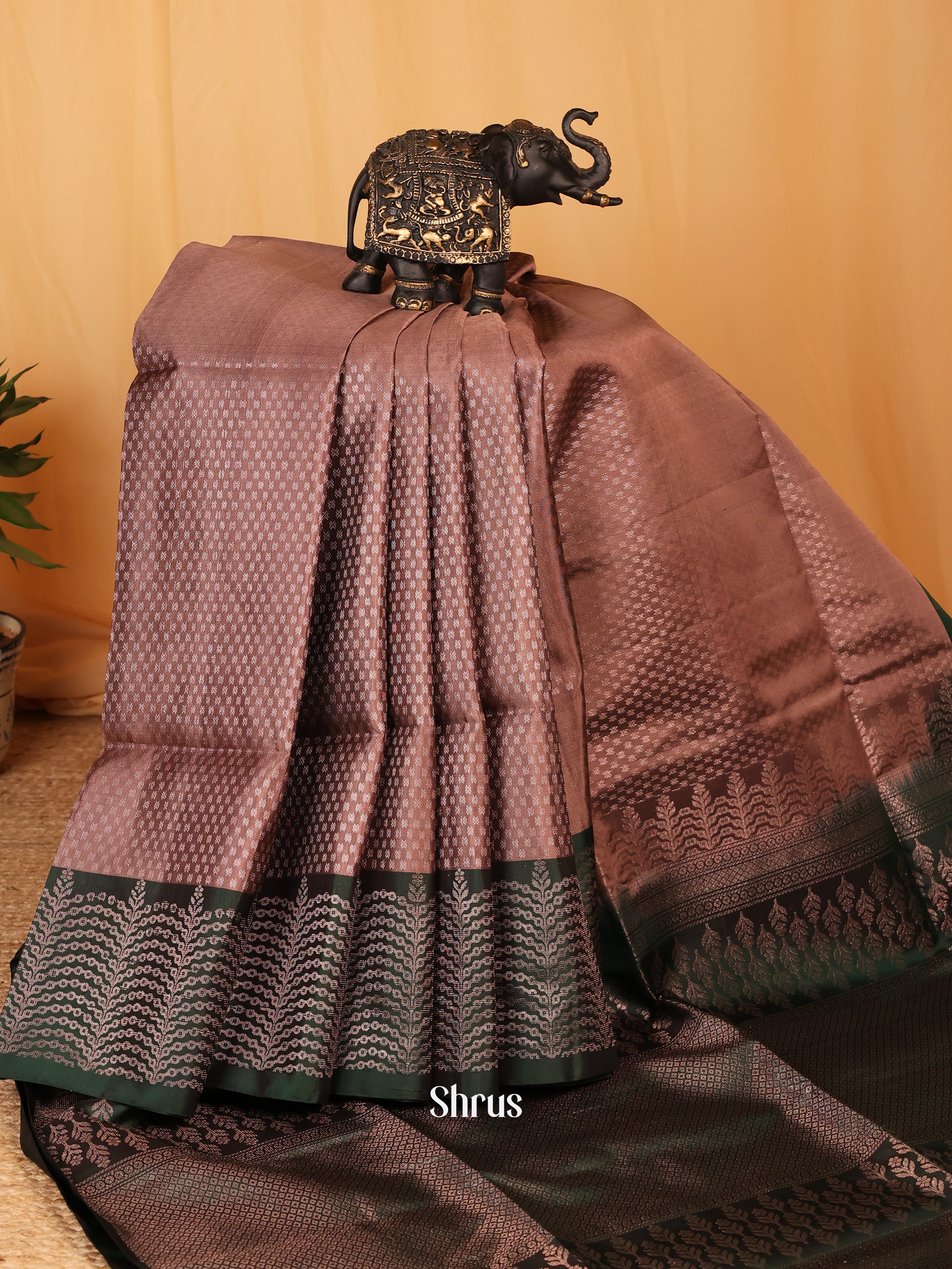 Brown & Green - Soft Silk Saree