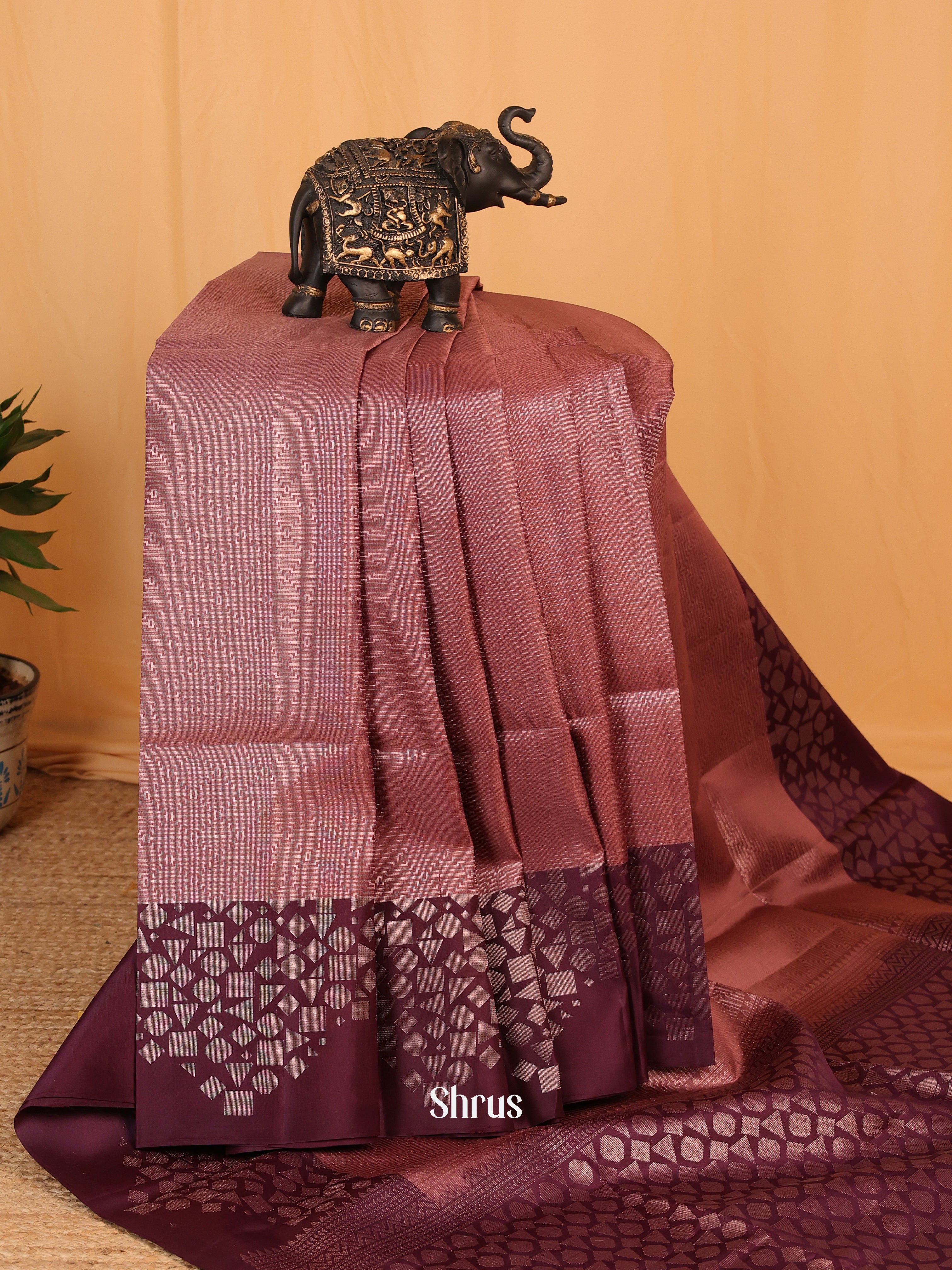 Brown & Violet - Soft Silk Saree - Shop on Shrus.com