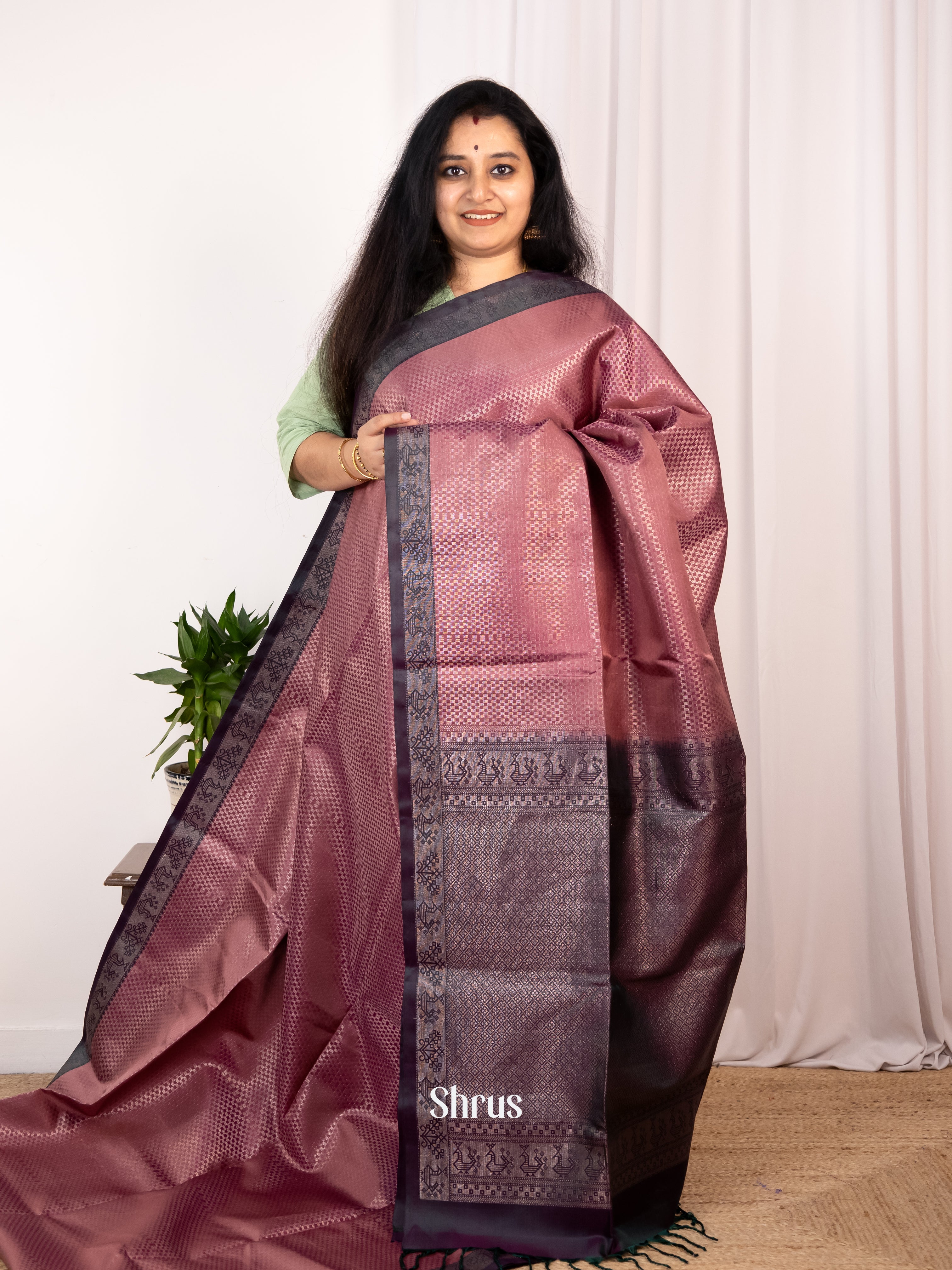 Brown - Soft Silk Saree