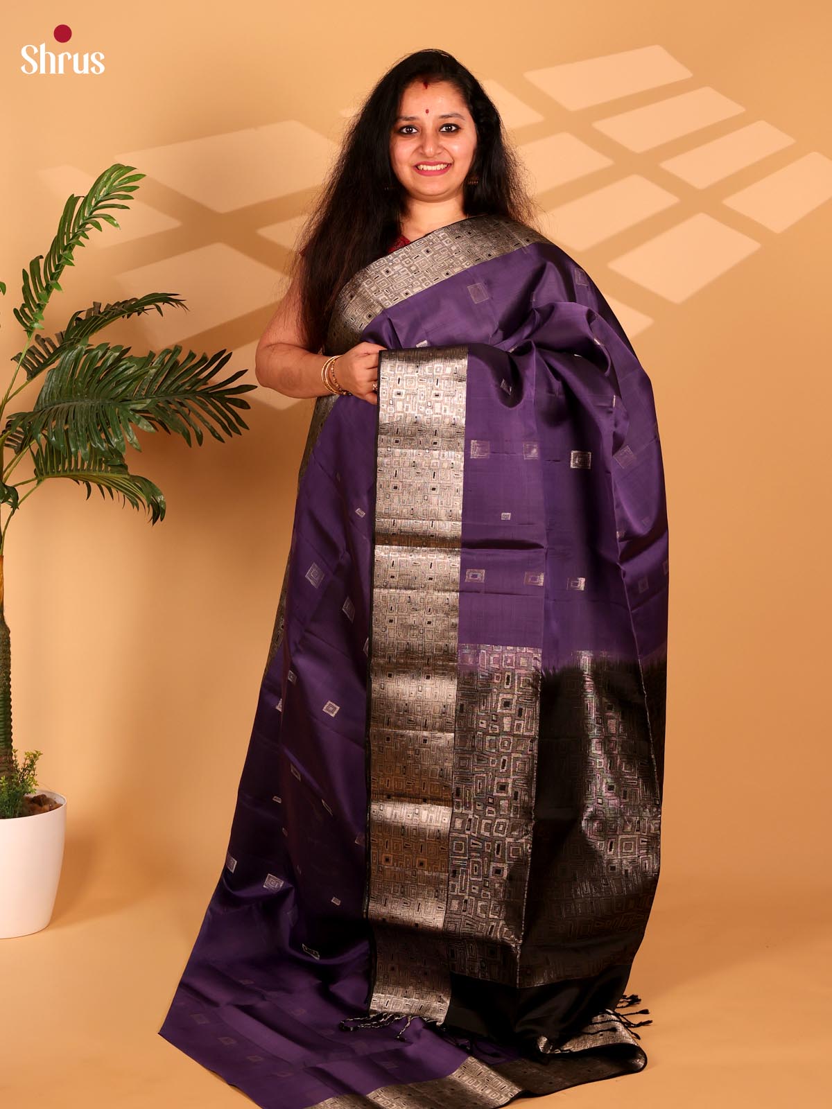 Purple & Brown - Soft Silk Saree