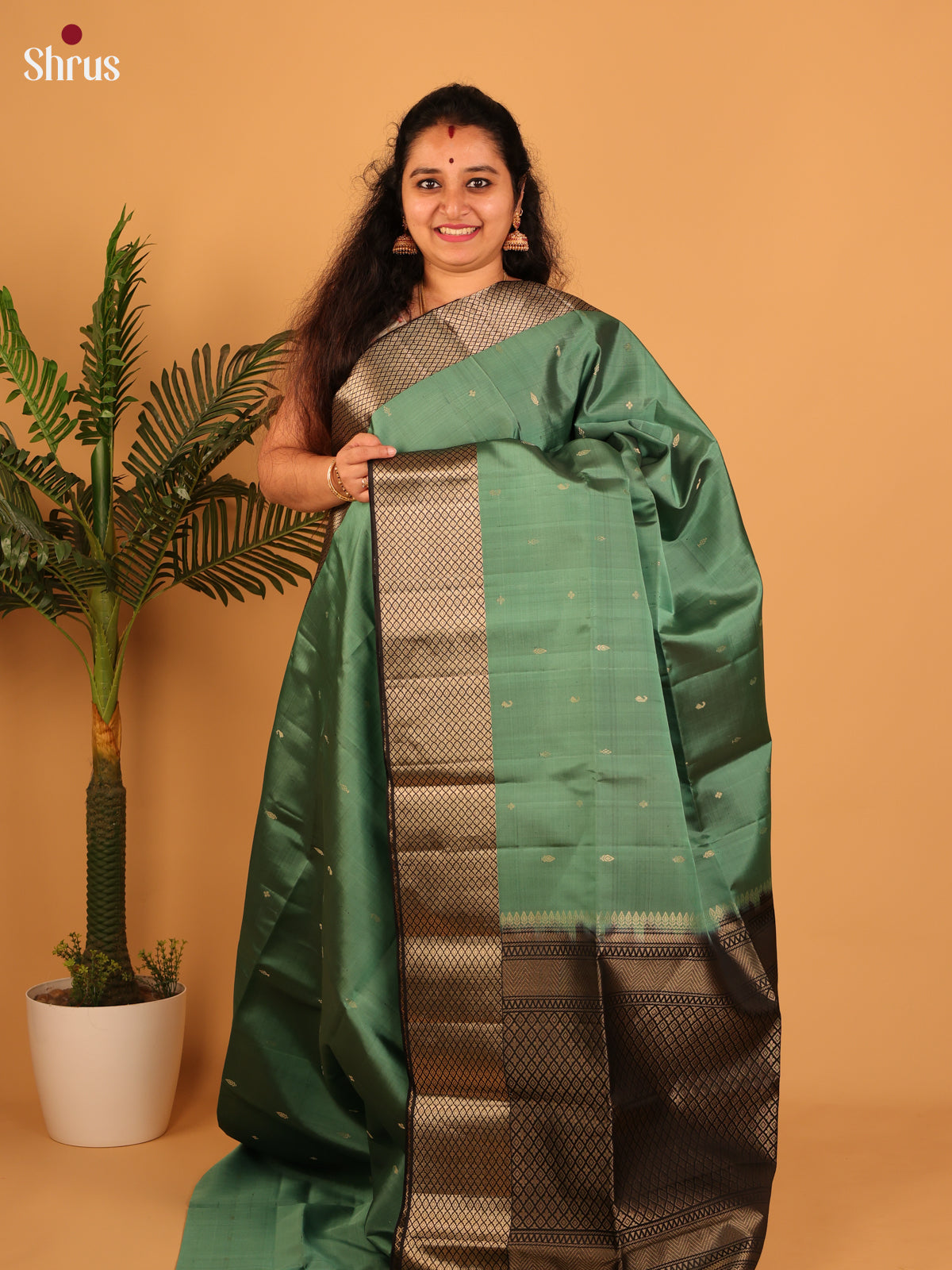 Green & Brown - Soft Silk Saree