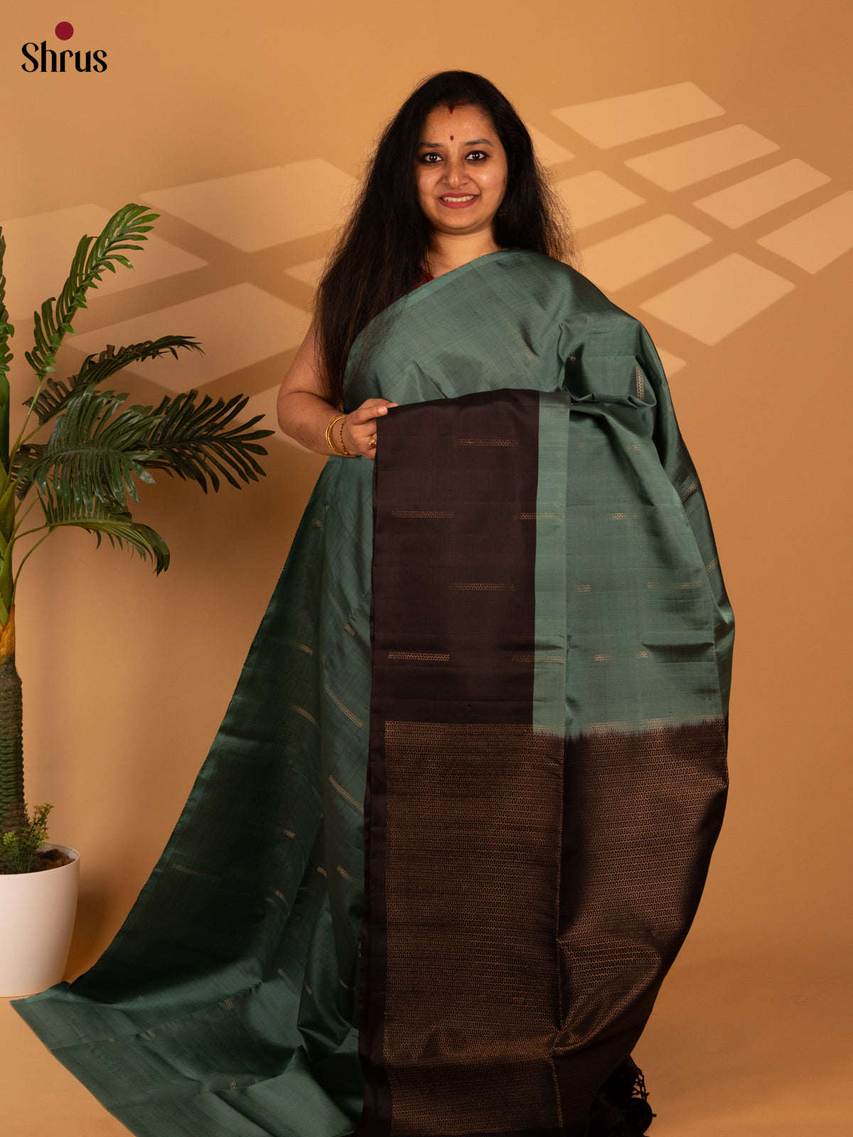 Green & Brown - Soft Silk Saree