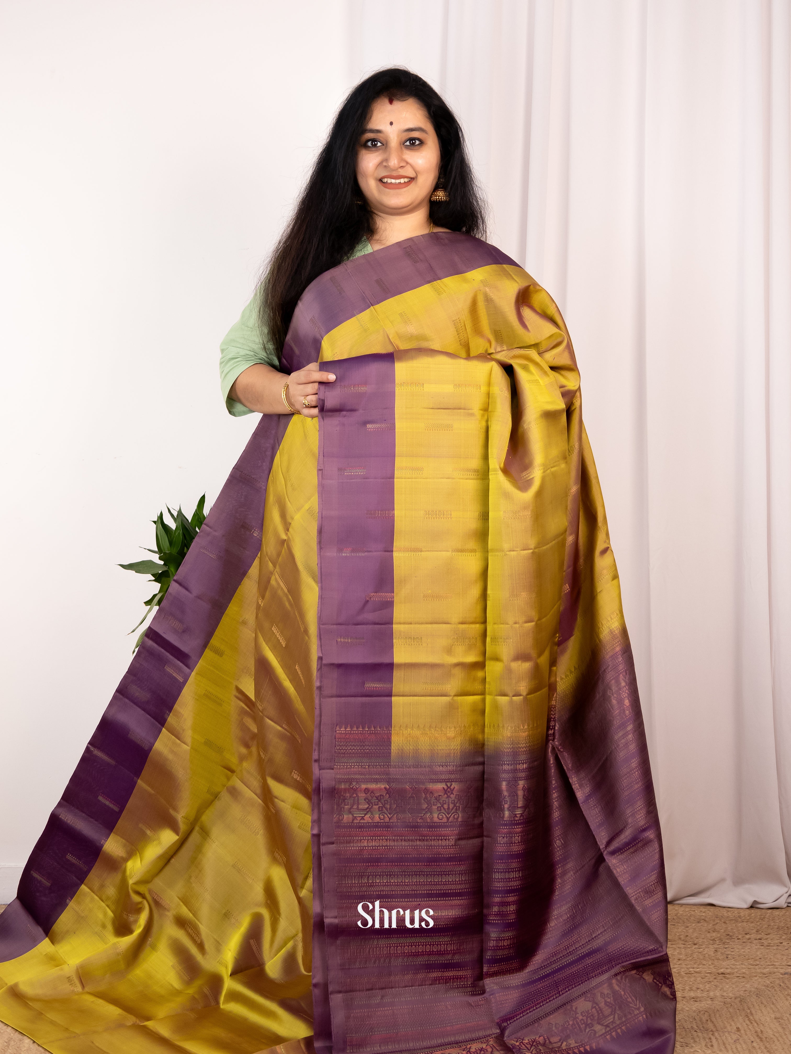 Mustardy Green & Purple - Soft Silk Saree