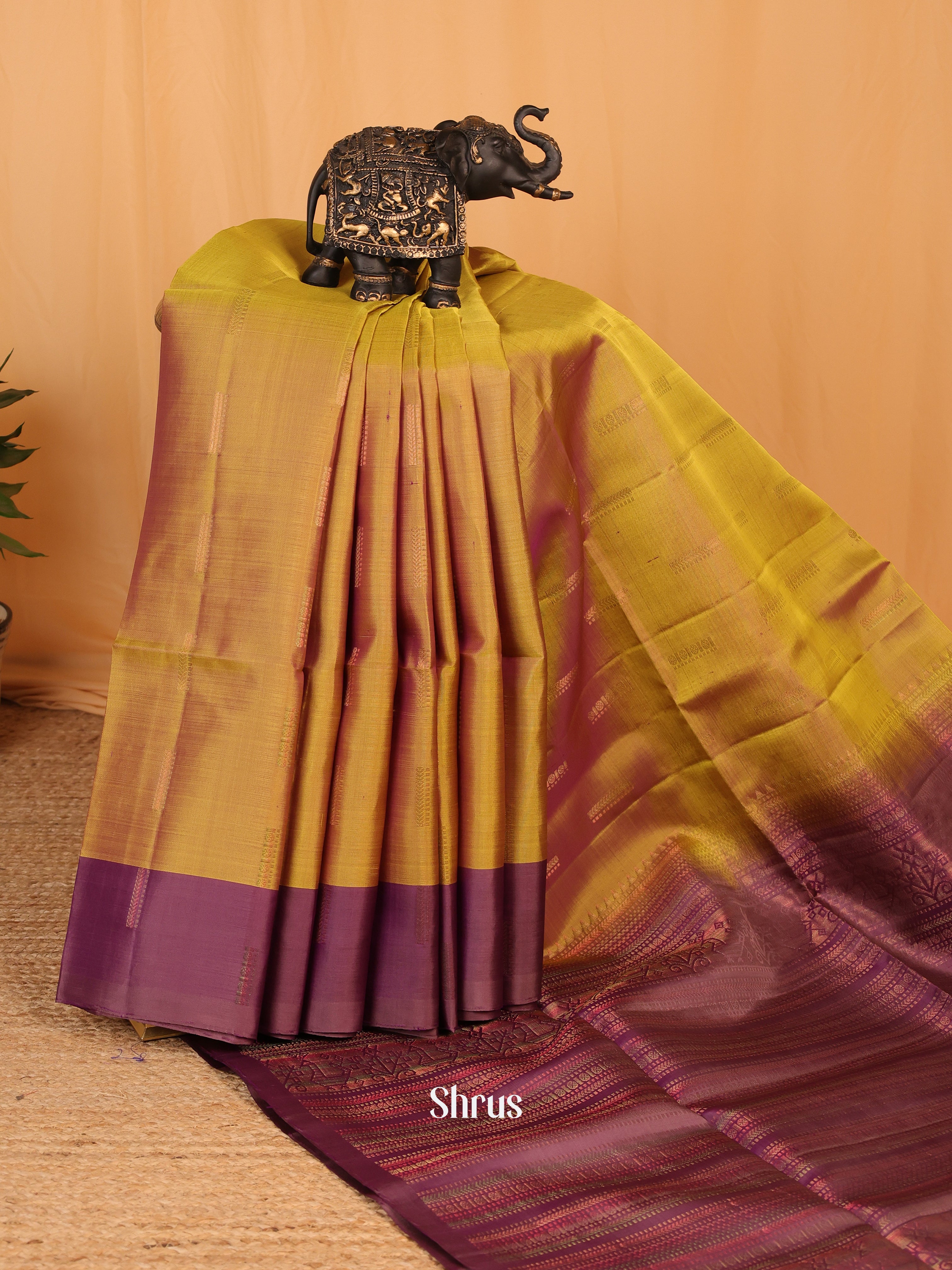 Mustardy Green & Purple - Soft Silk Saree