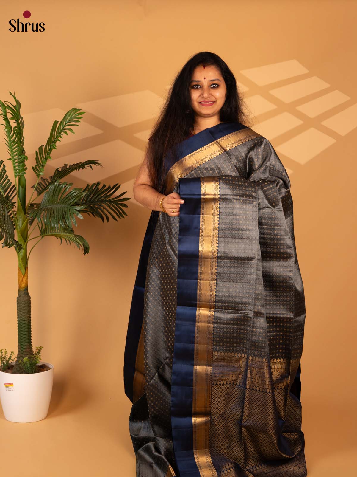 Grey & Blue - Soft Silk Saree