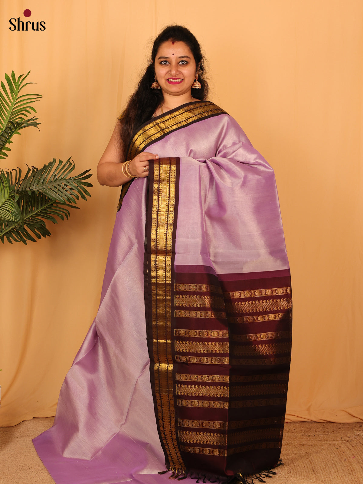 Lavender & Brown - Silk Cotton Saree