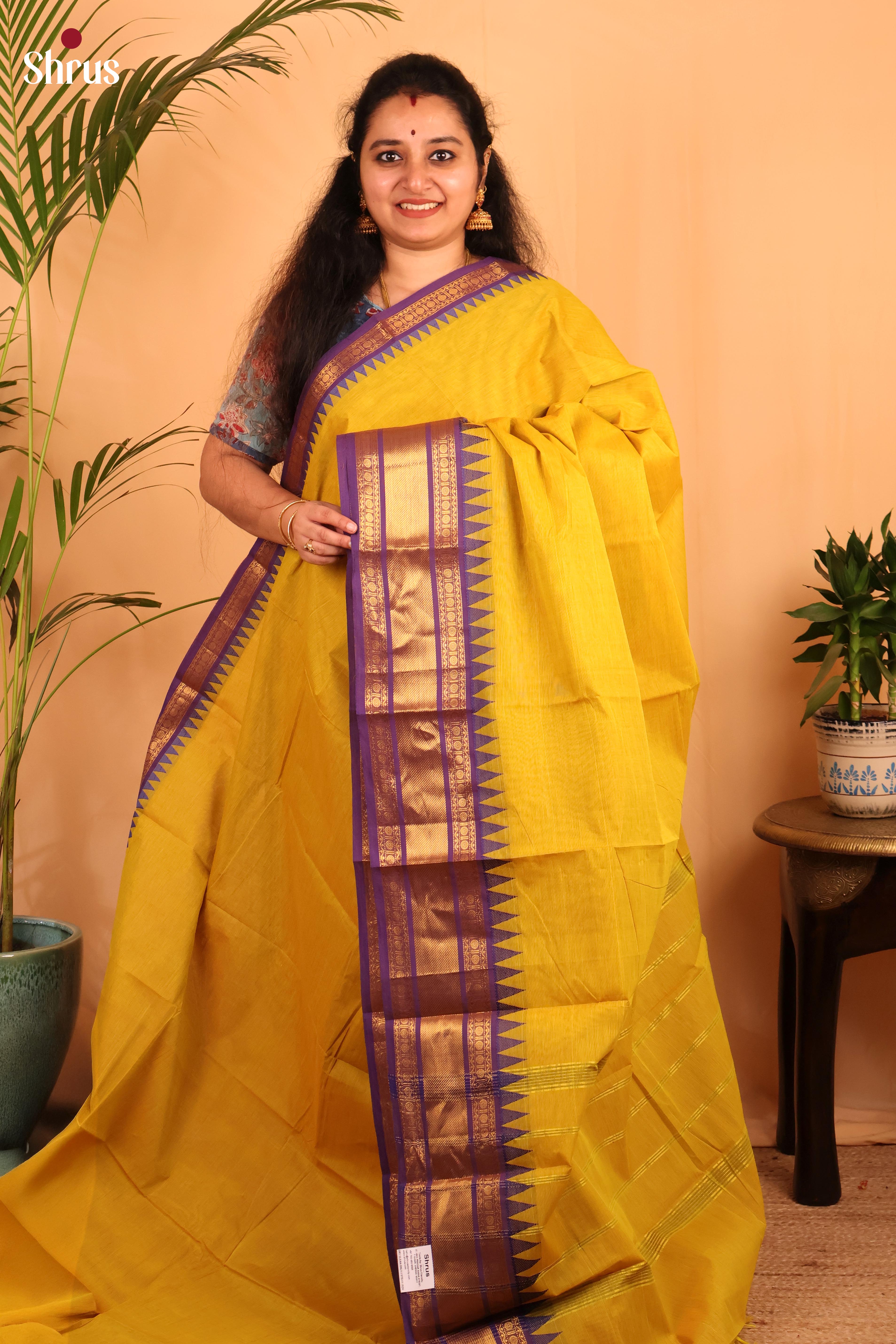 Mustardy Green & Purple - Chettinad Cotton