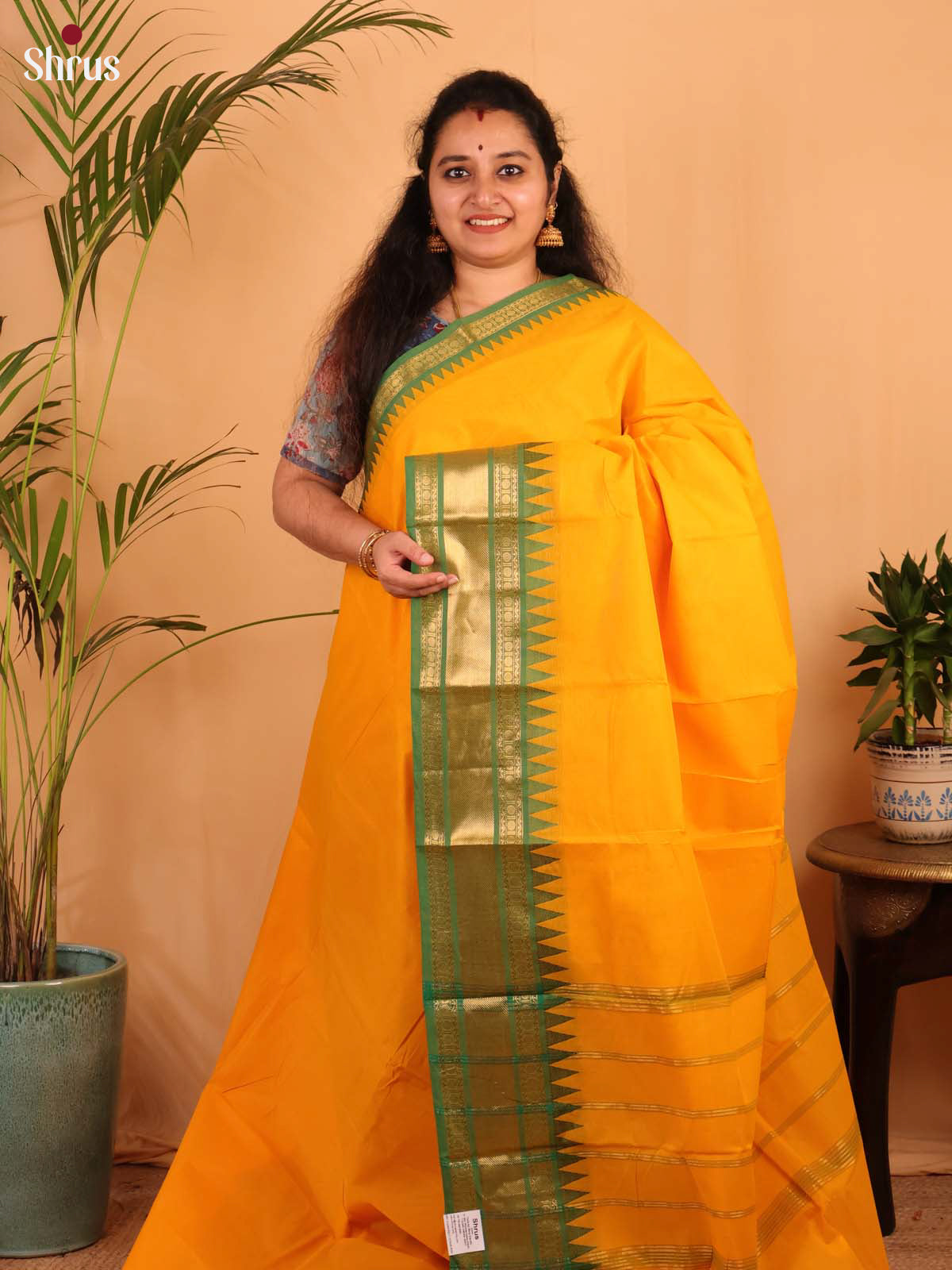 Mustard & Green- Chettinad Cotton Saree