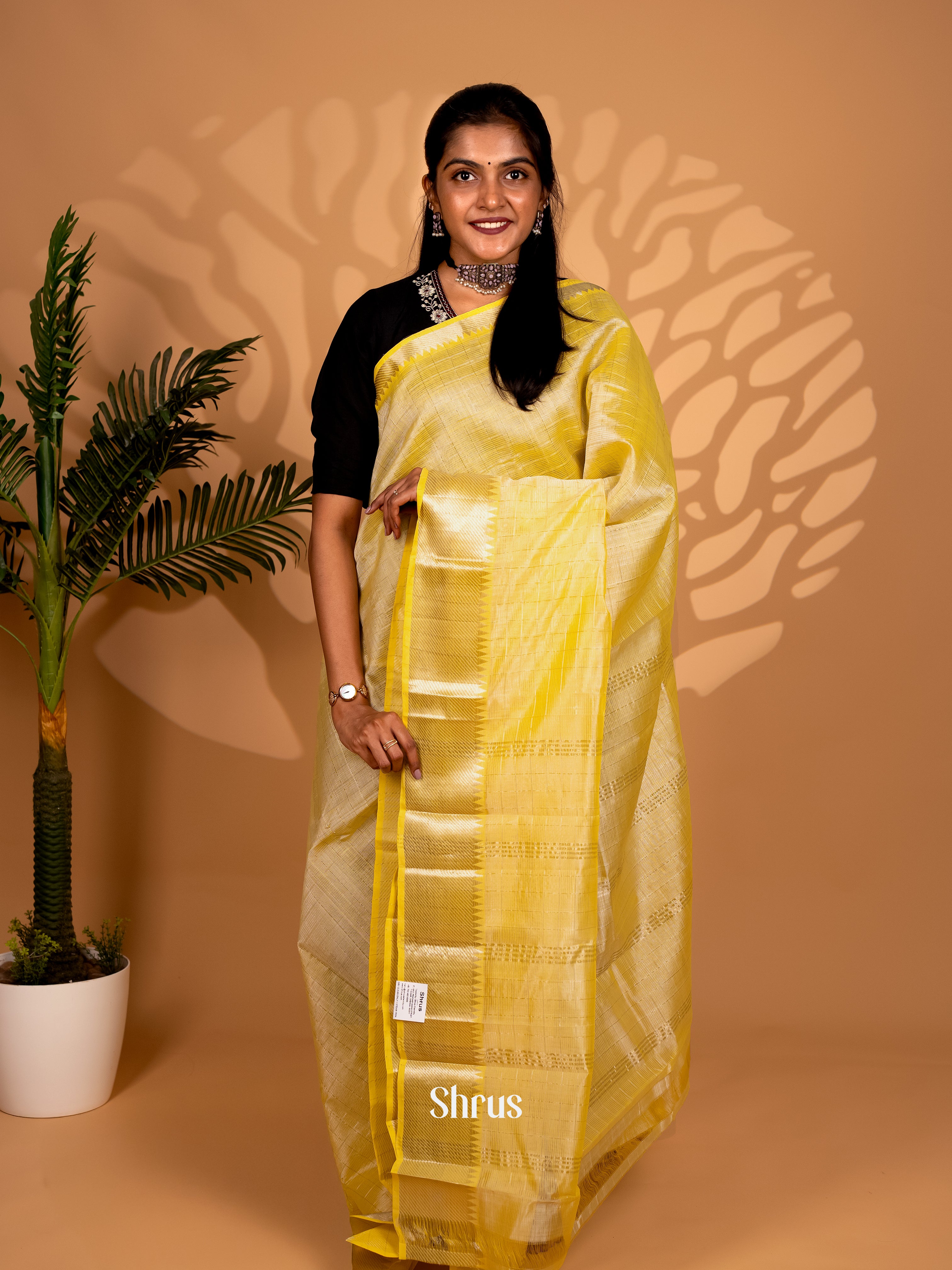 CKS25036 - Mangalagiri silkcotton Saree