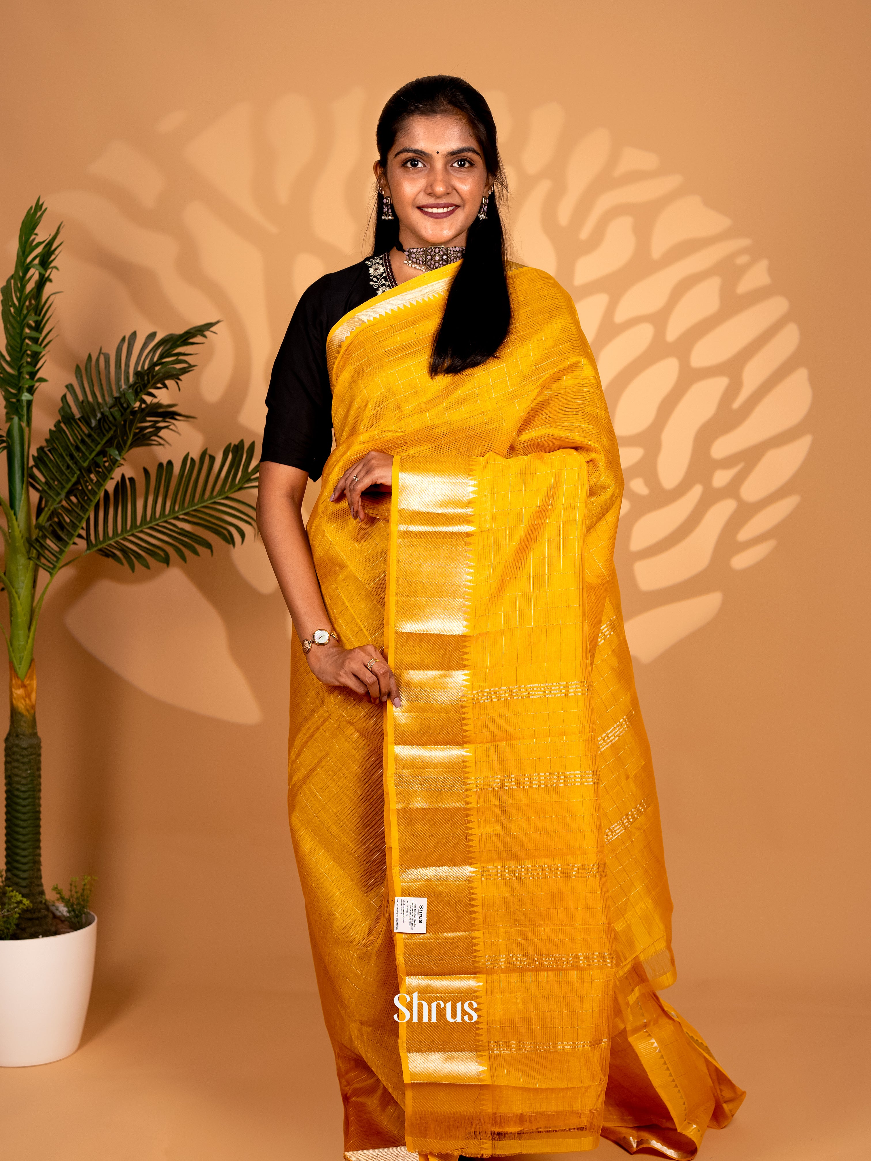 CKS25038 - Mangalagiri silkcotton Saree