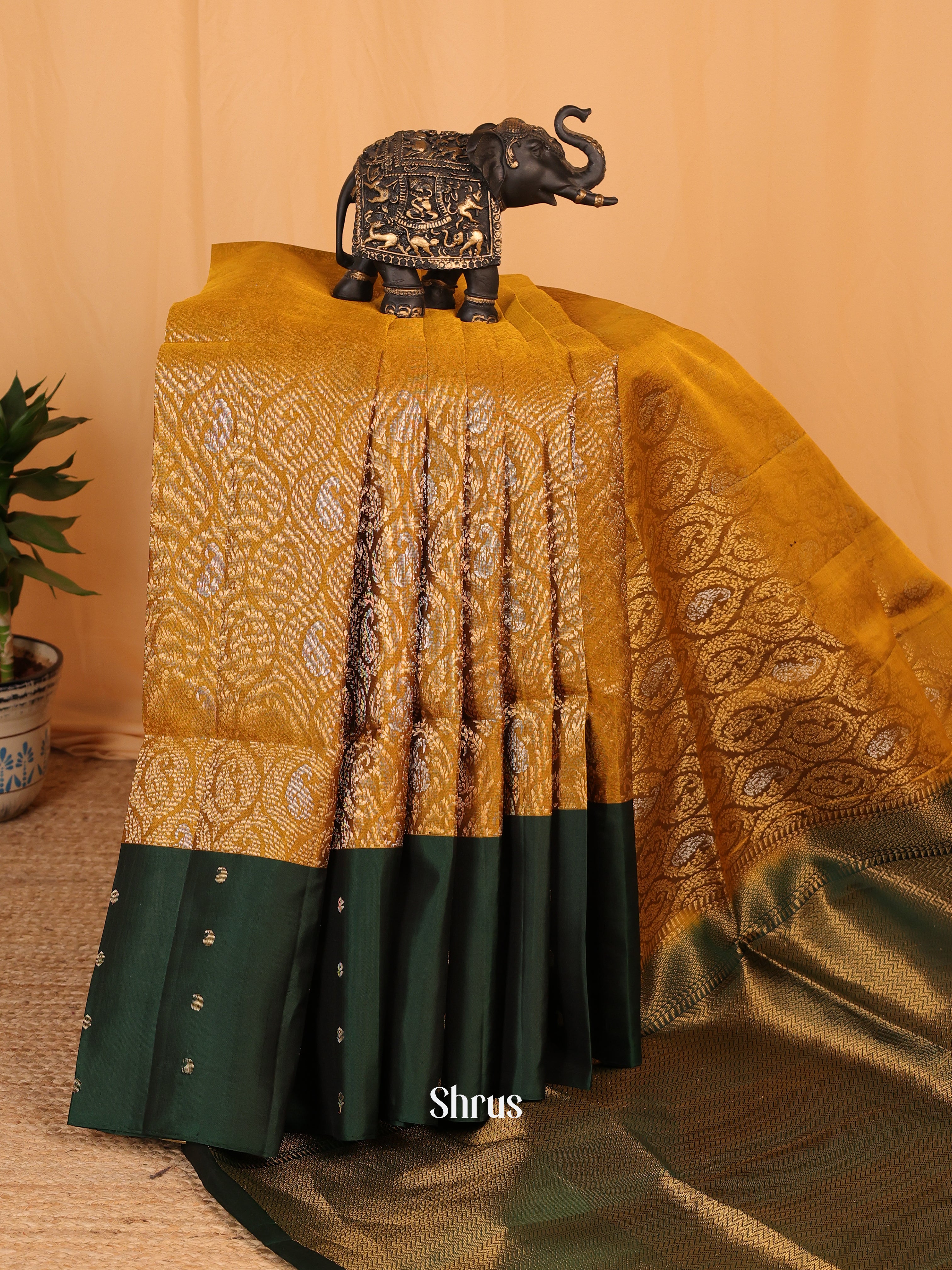 Mustard & Green - Soft Silk Saree