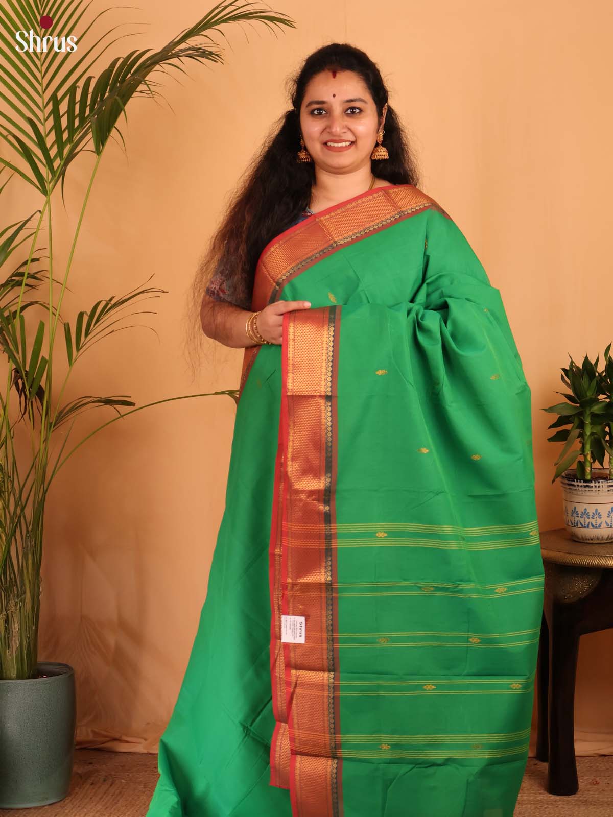 Green & Red - Chettinad Cotton Saree