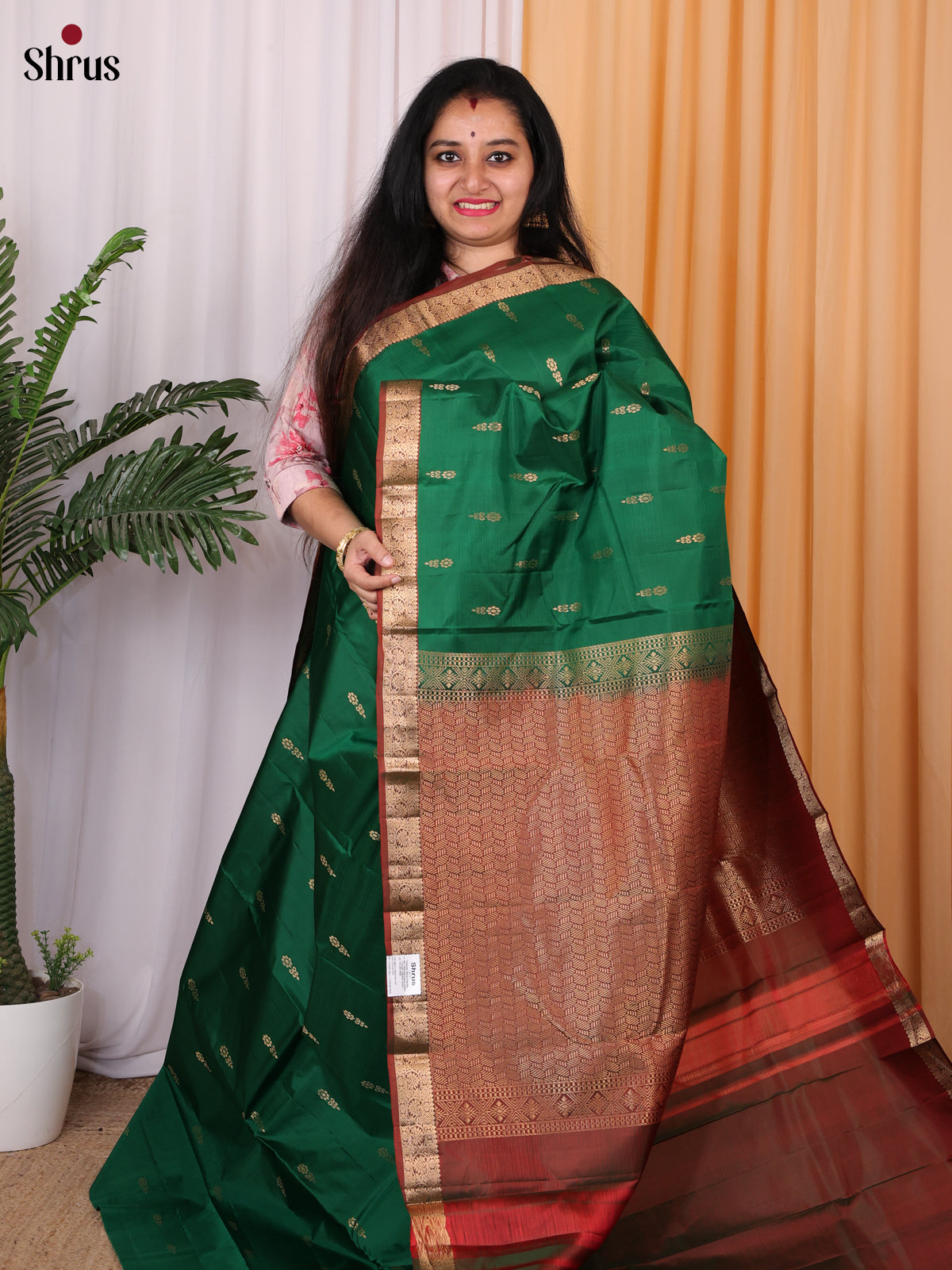 CKS29093 - Kanchipuram silk Saree