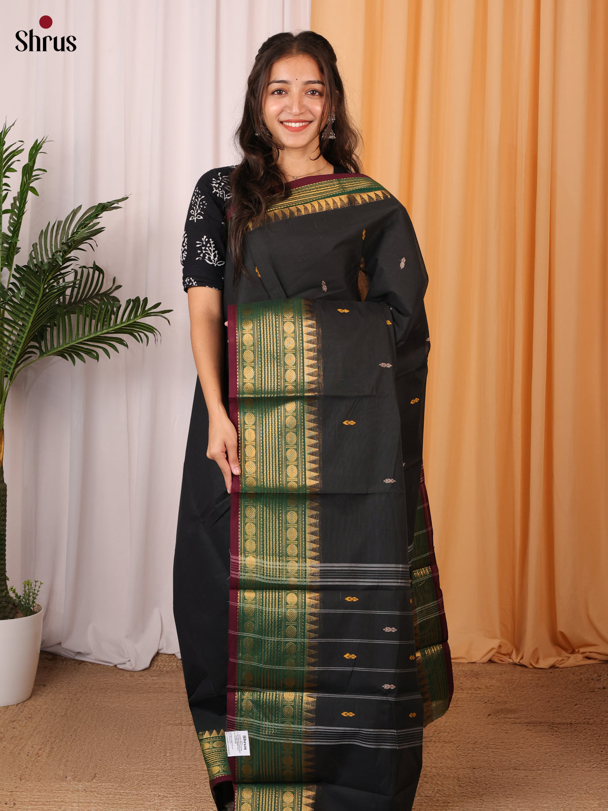 Black  & Green - Chettinad Cotton Saree