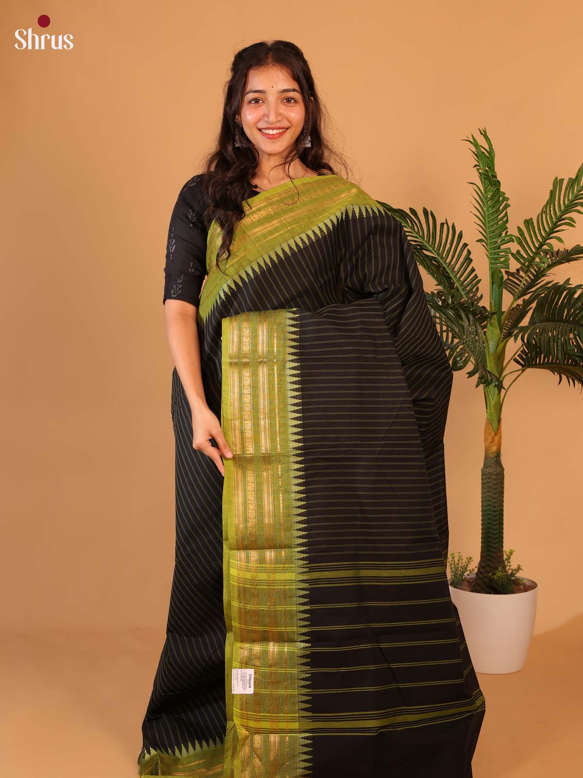 Black & Green - Chettinad Cotton Saree