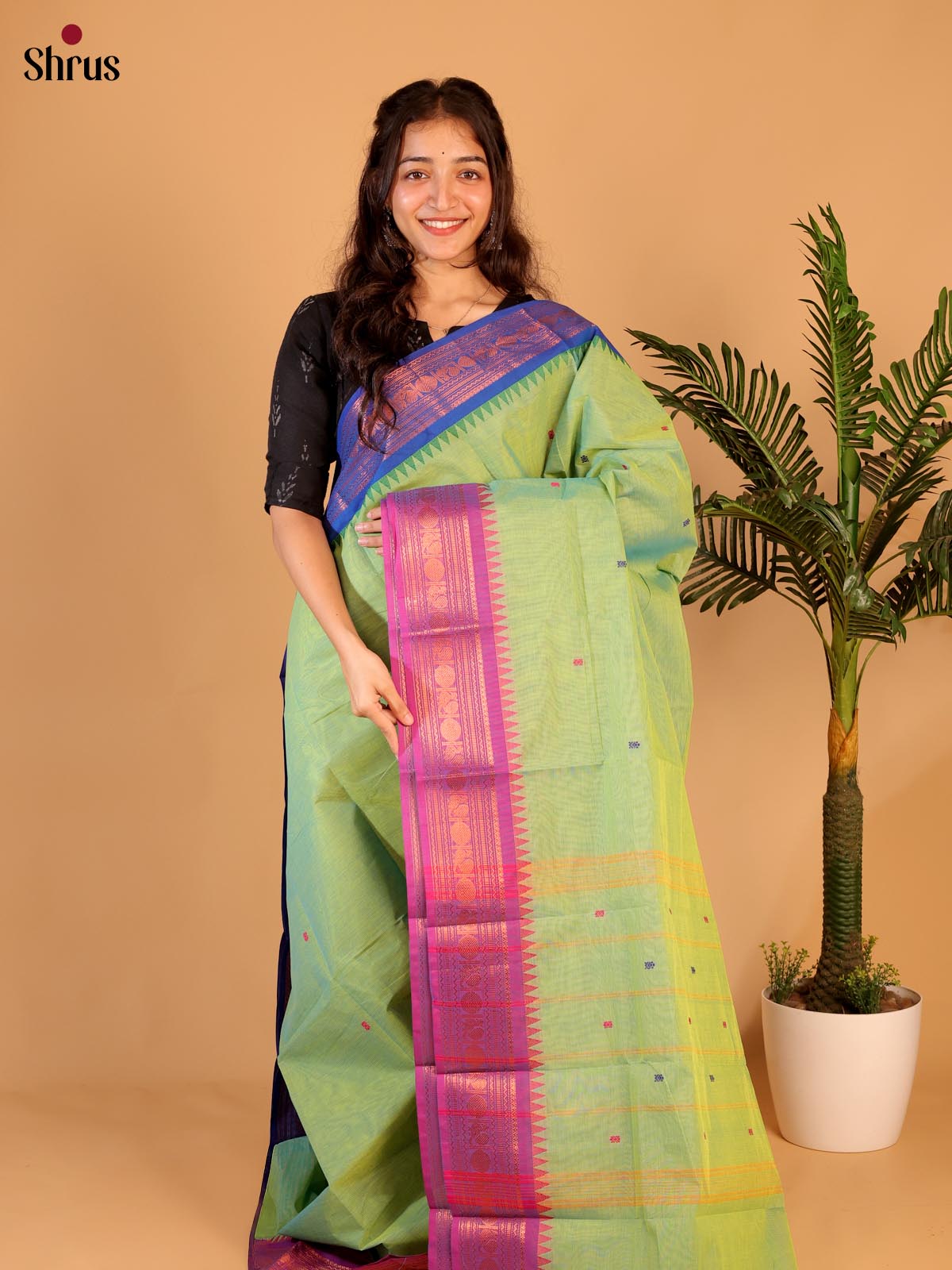 Green & Purple- Chettinad Cotton Saree