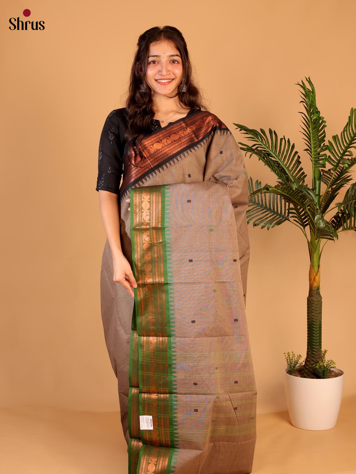 Grey & Green - Chettinad Cotton Saree