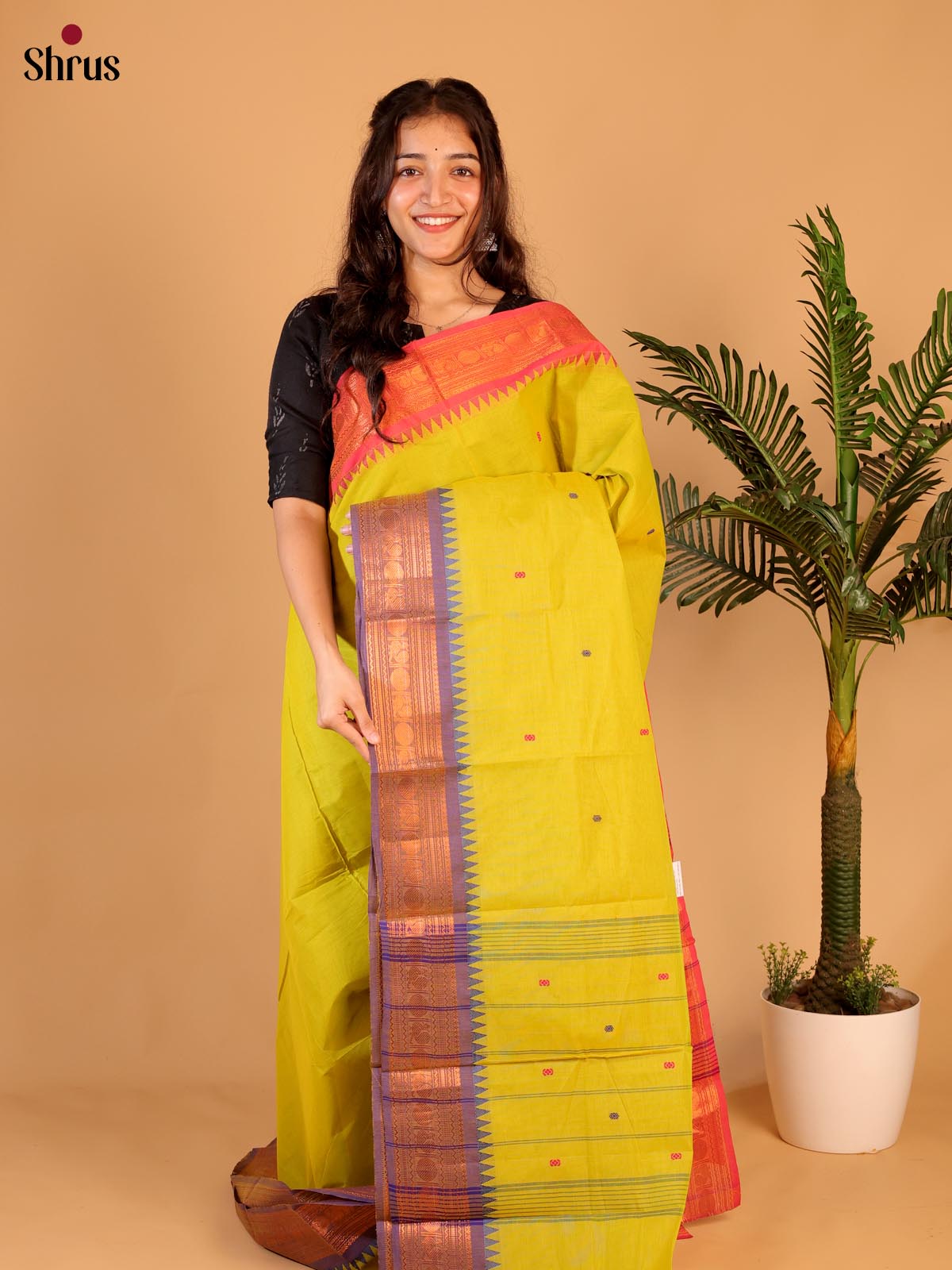 Green & Purple - Chettinad Cotton Saree