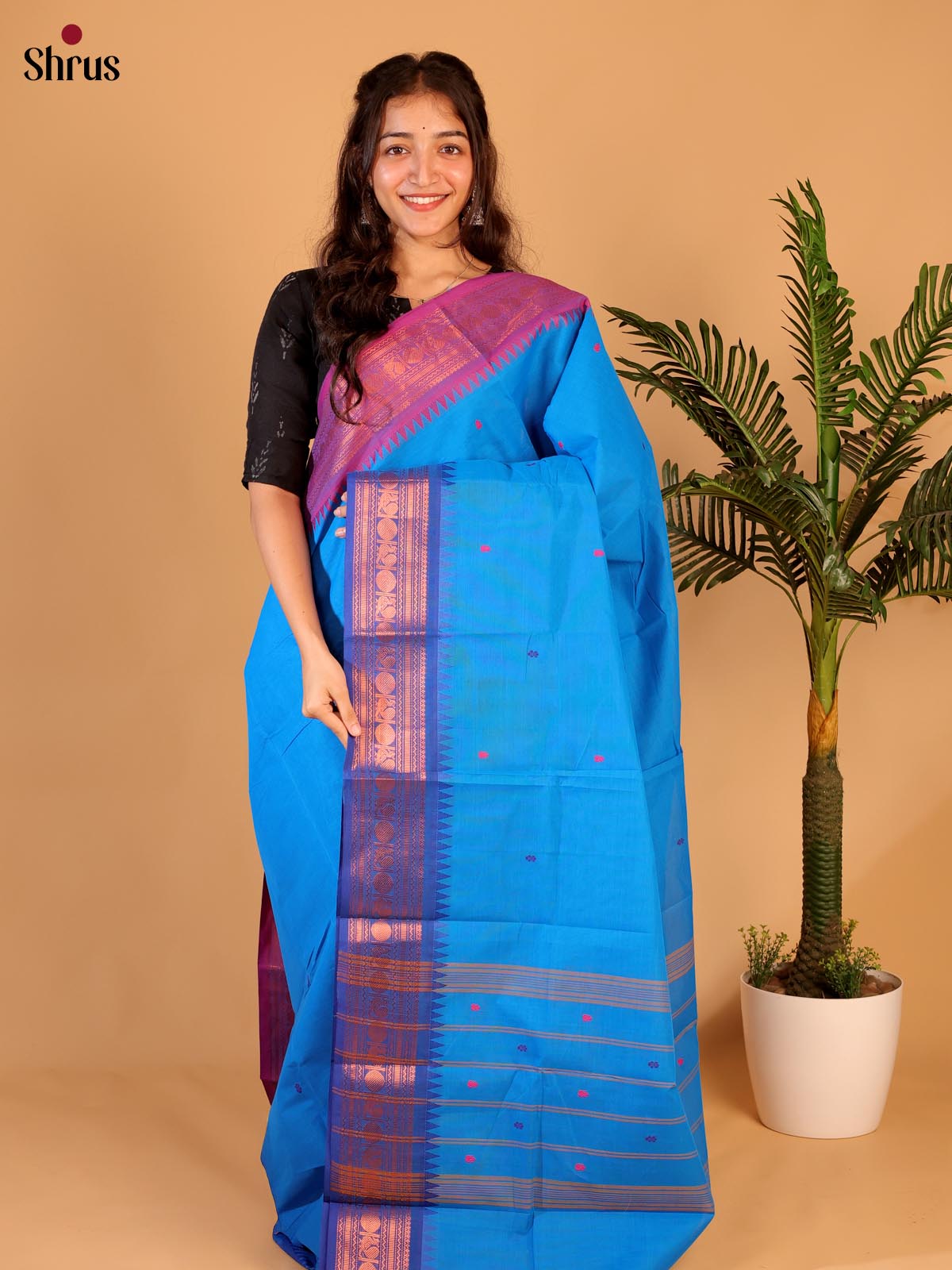 Teal & Blue - Chettinad Cotton Saree