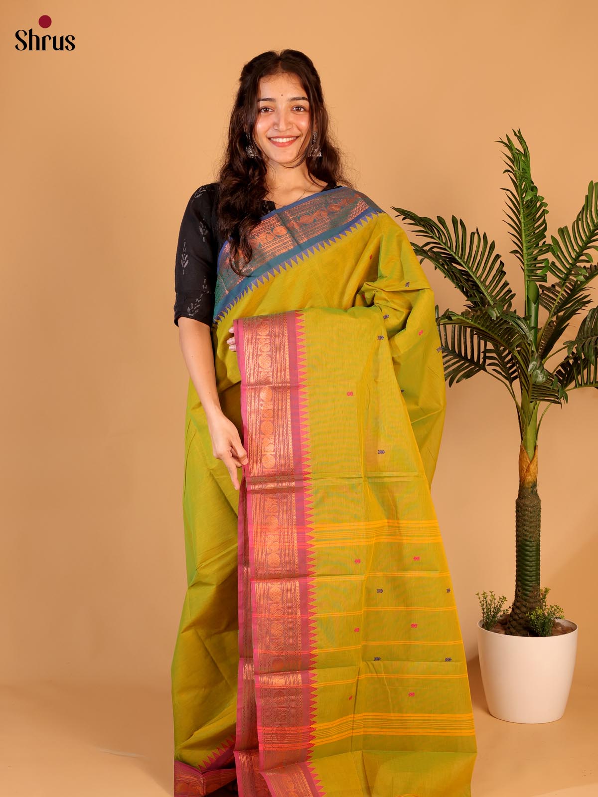 Green & Blue - Chettinad Cotton Saree