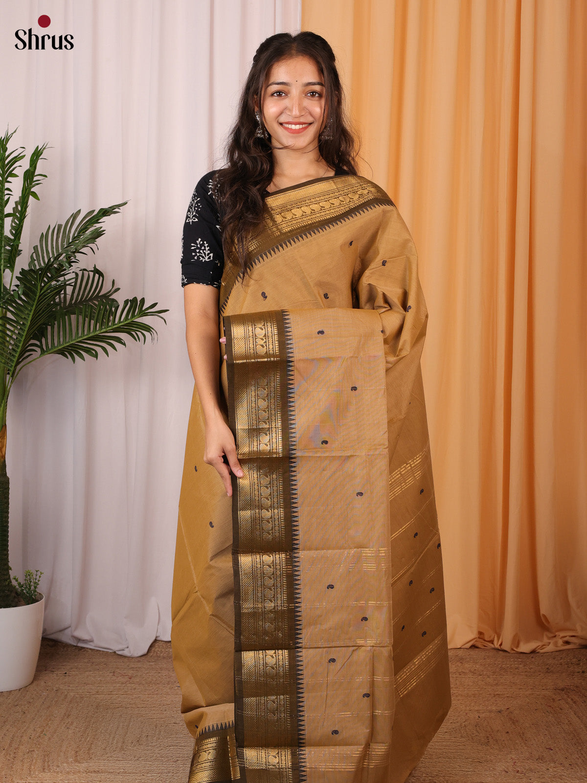 Brown & Green - Chettinad Cotton Saree