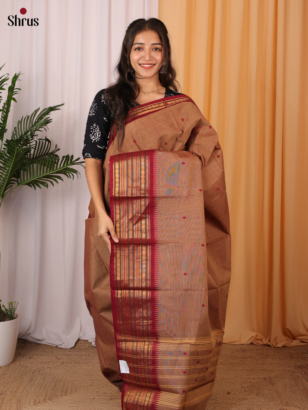 Brown & Maroon - Chettinad Cotton Saree