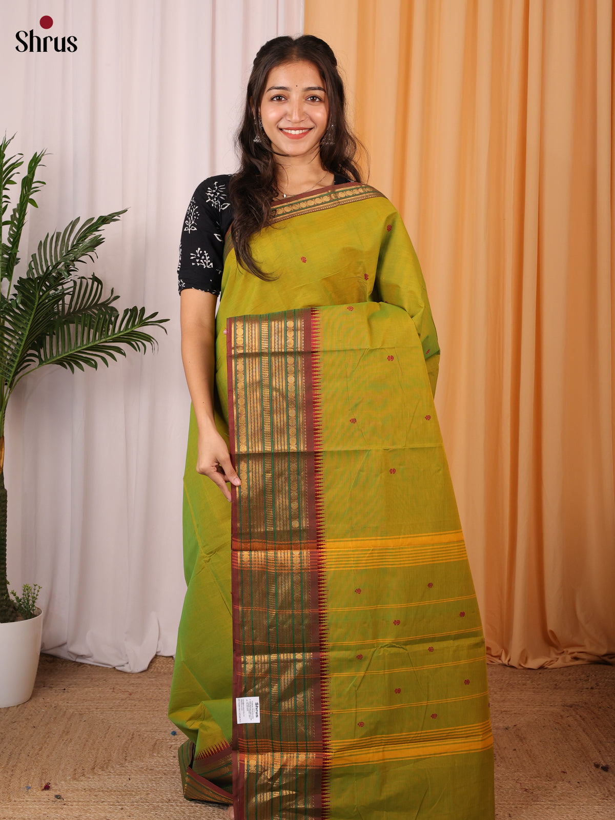 Green & Brown - Chettinad Cotton Saree