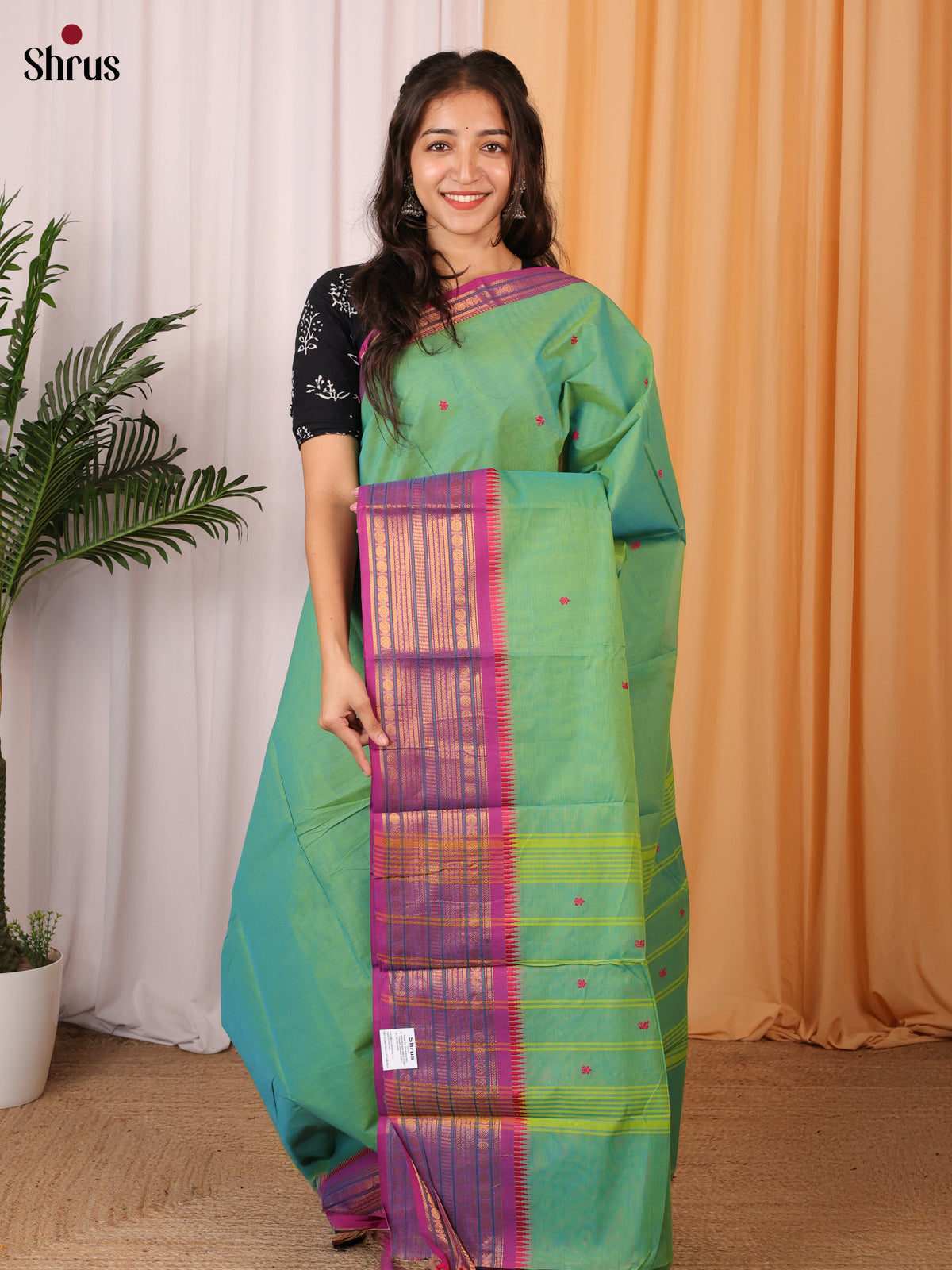 Green & Purple - Chettinad Cotton Saree