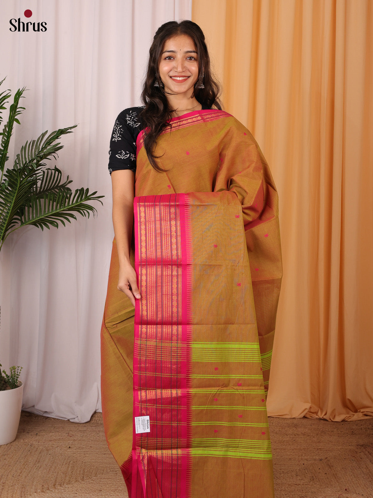 Double Shaded Mustardy Green & Pink - Chettinad Cotton Saree