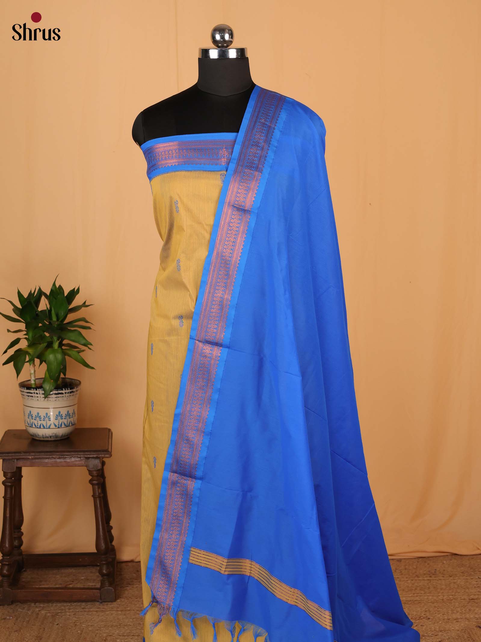 Mustard & Blue - Kalyani Cotton salwar unstitch