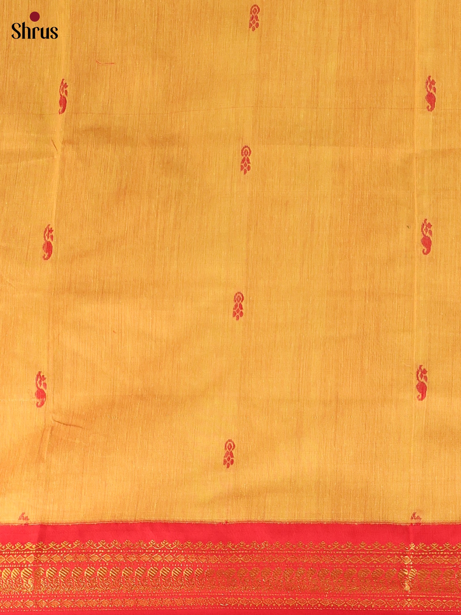 Mustard & Red - Kalyani Cotton salwar unstitch